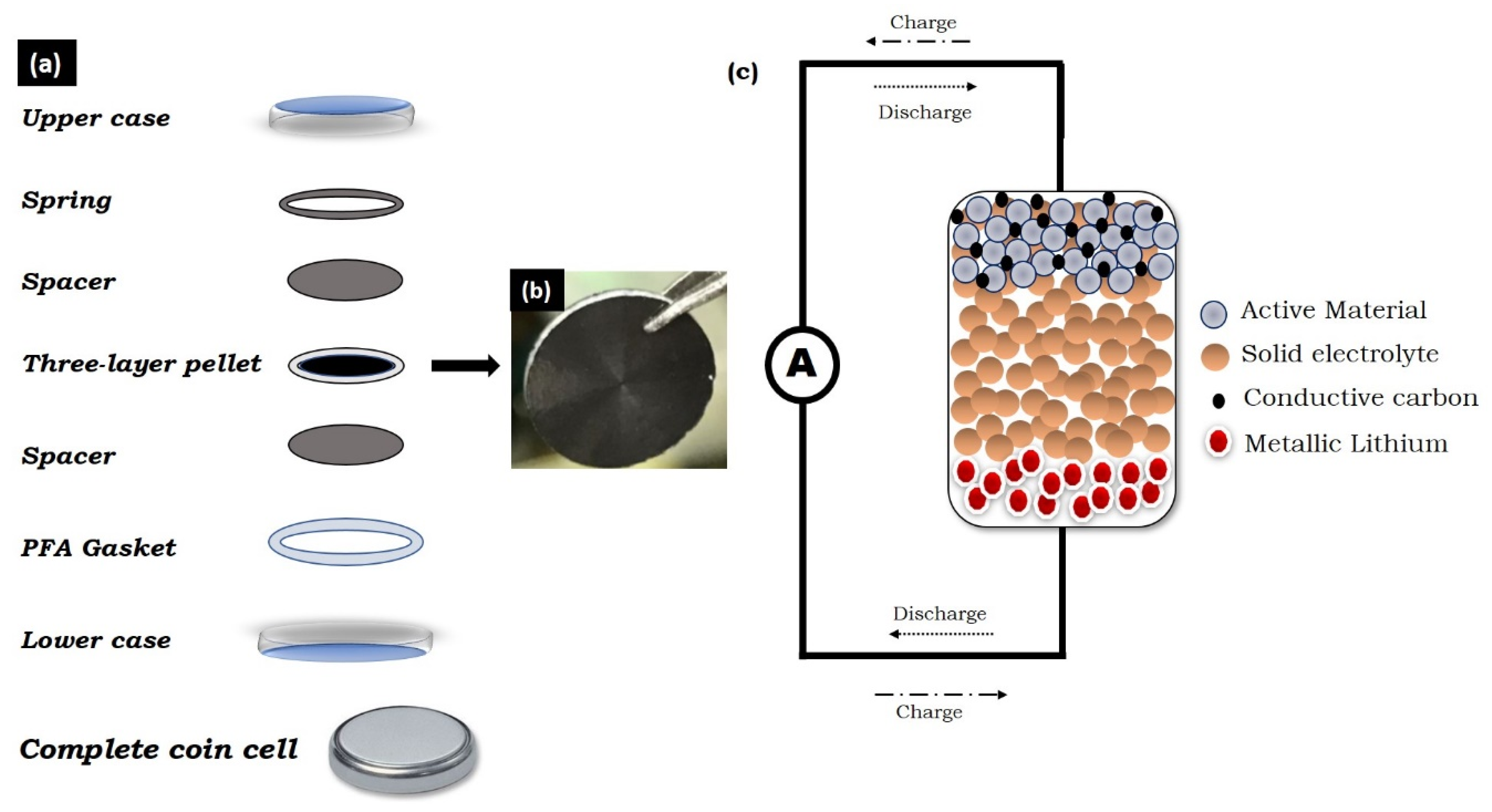 Molecules 25 03733 g008
