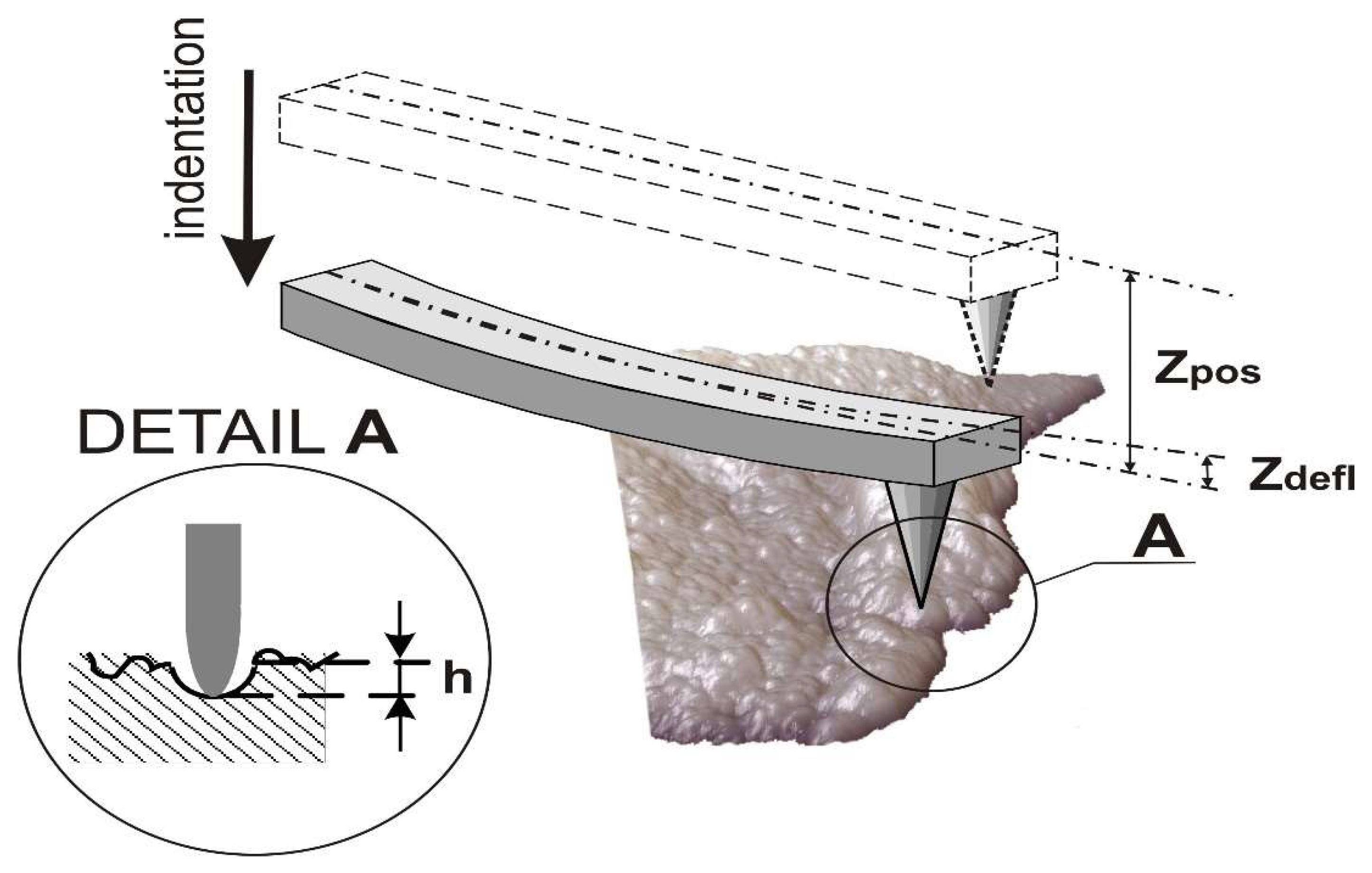 Molecules 25 03734 g003
