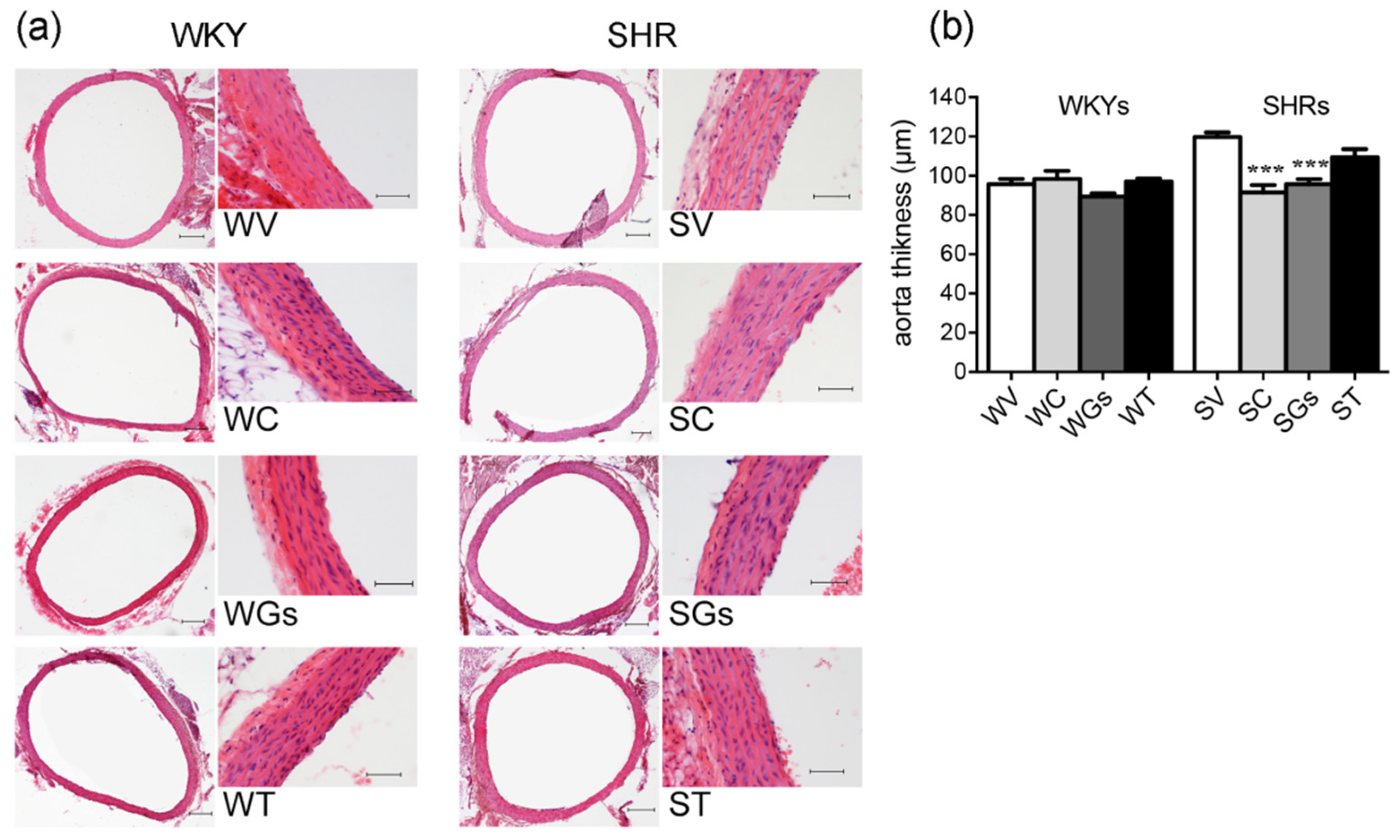 Molecules 25 03758 g004 Molecules 25 03758 g004