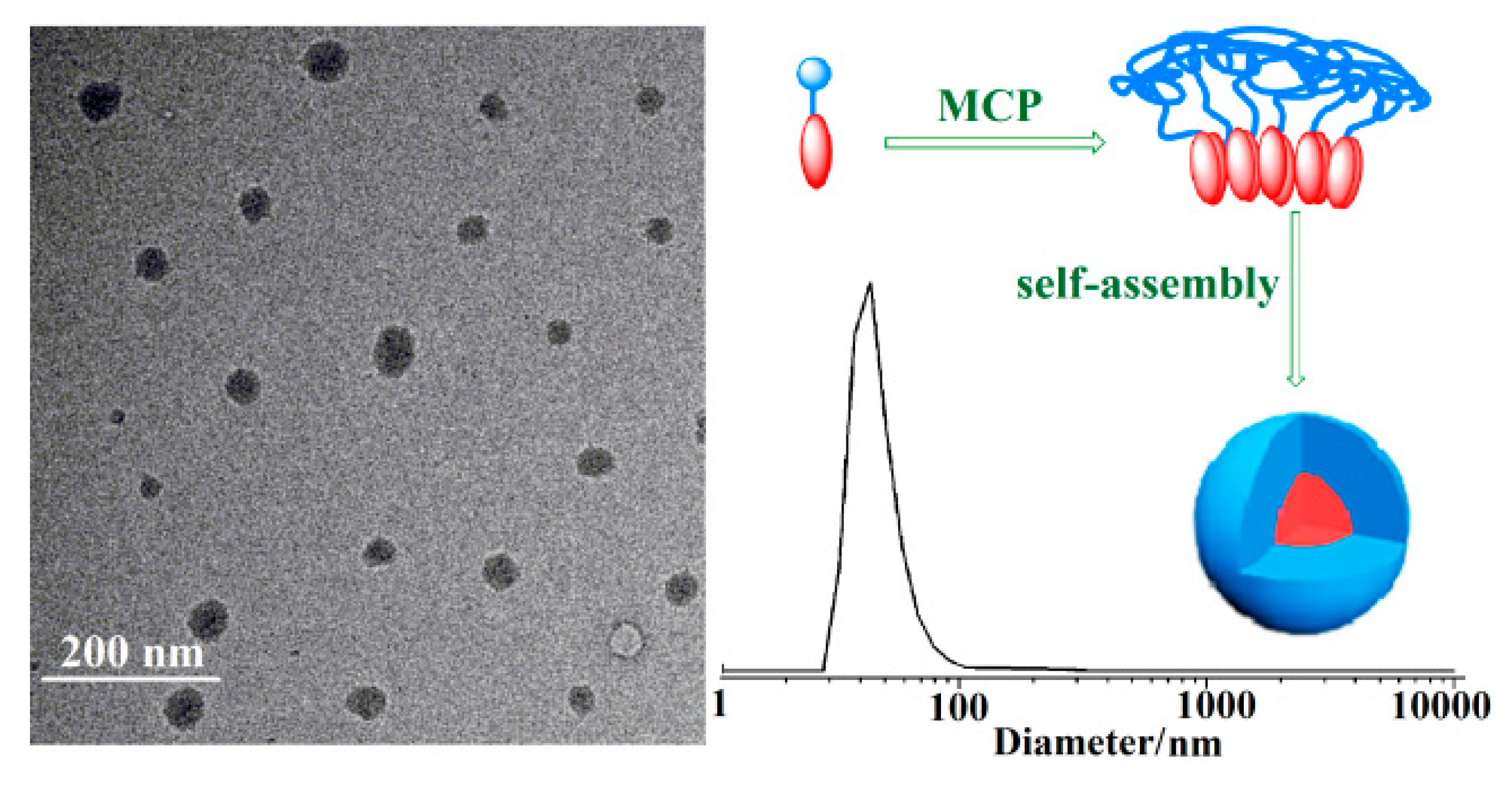 Molecules 25 03767 g003