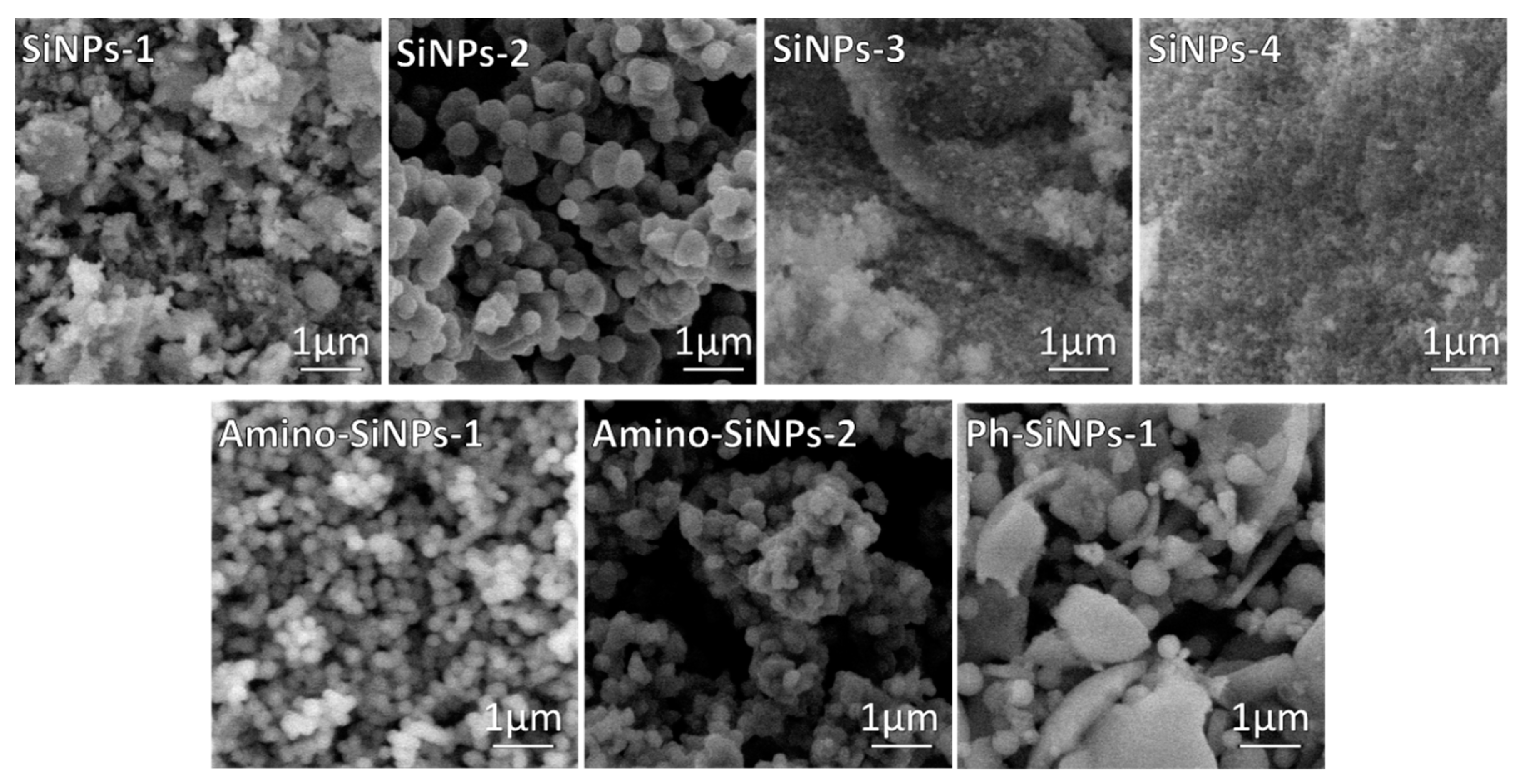 Molecules 25 03802 g001