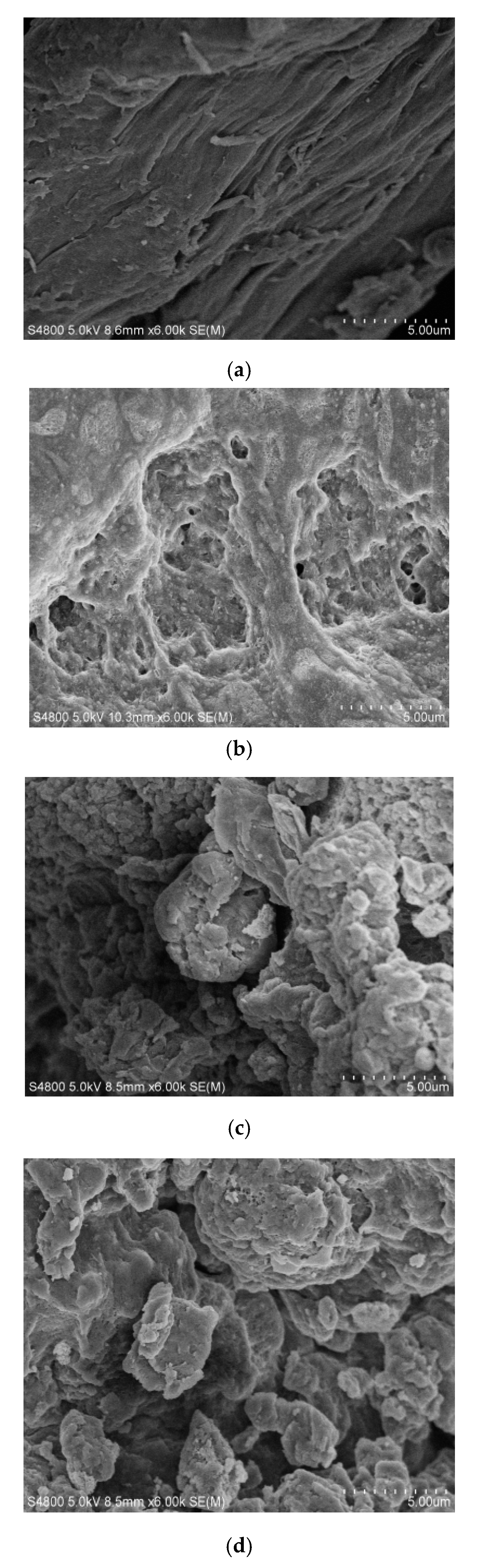 Molecules 25 03812 g003 Molecules 25 03812 g003