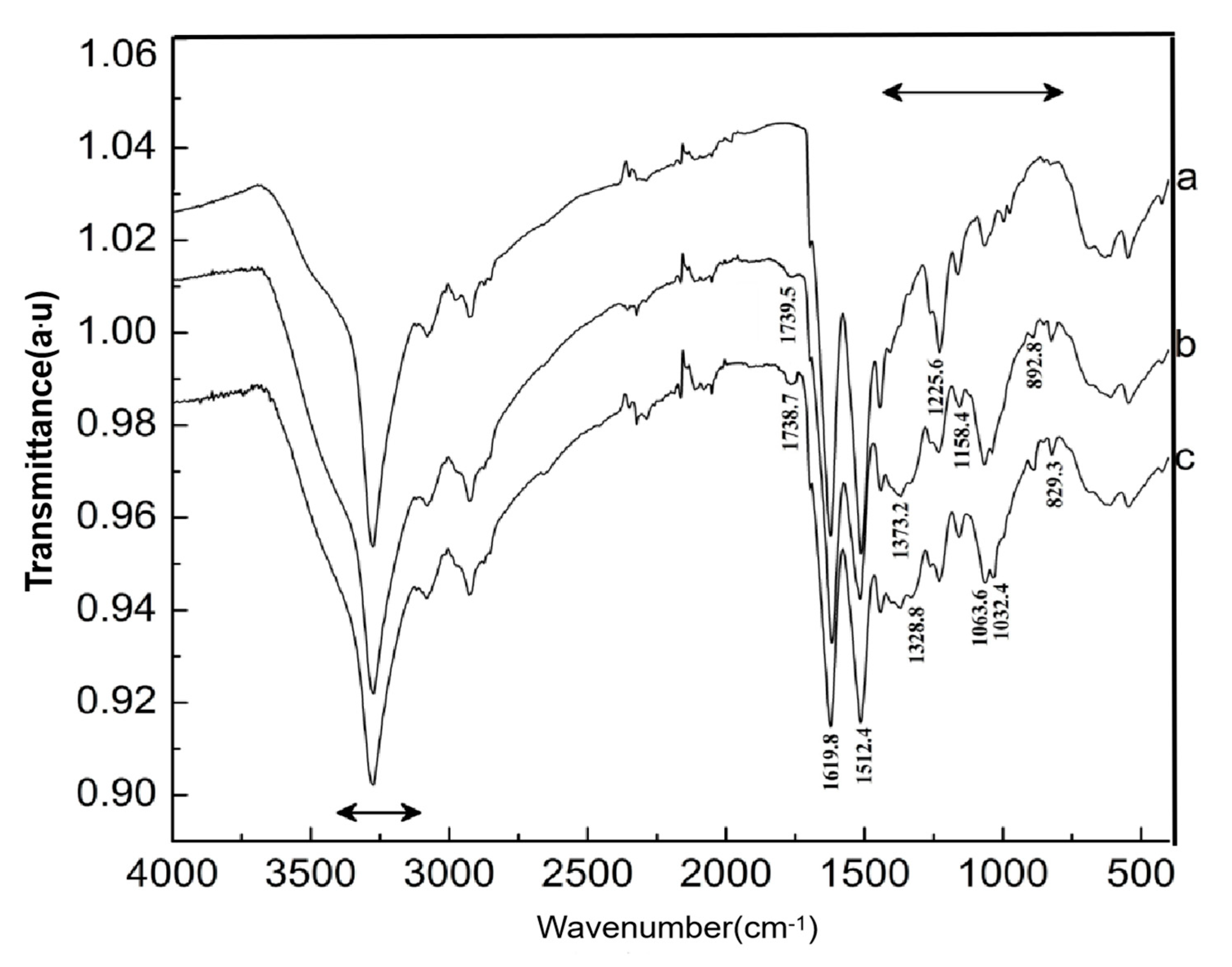 Molecules 25 03812 g008 Molecules 25 03812 g008