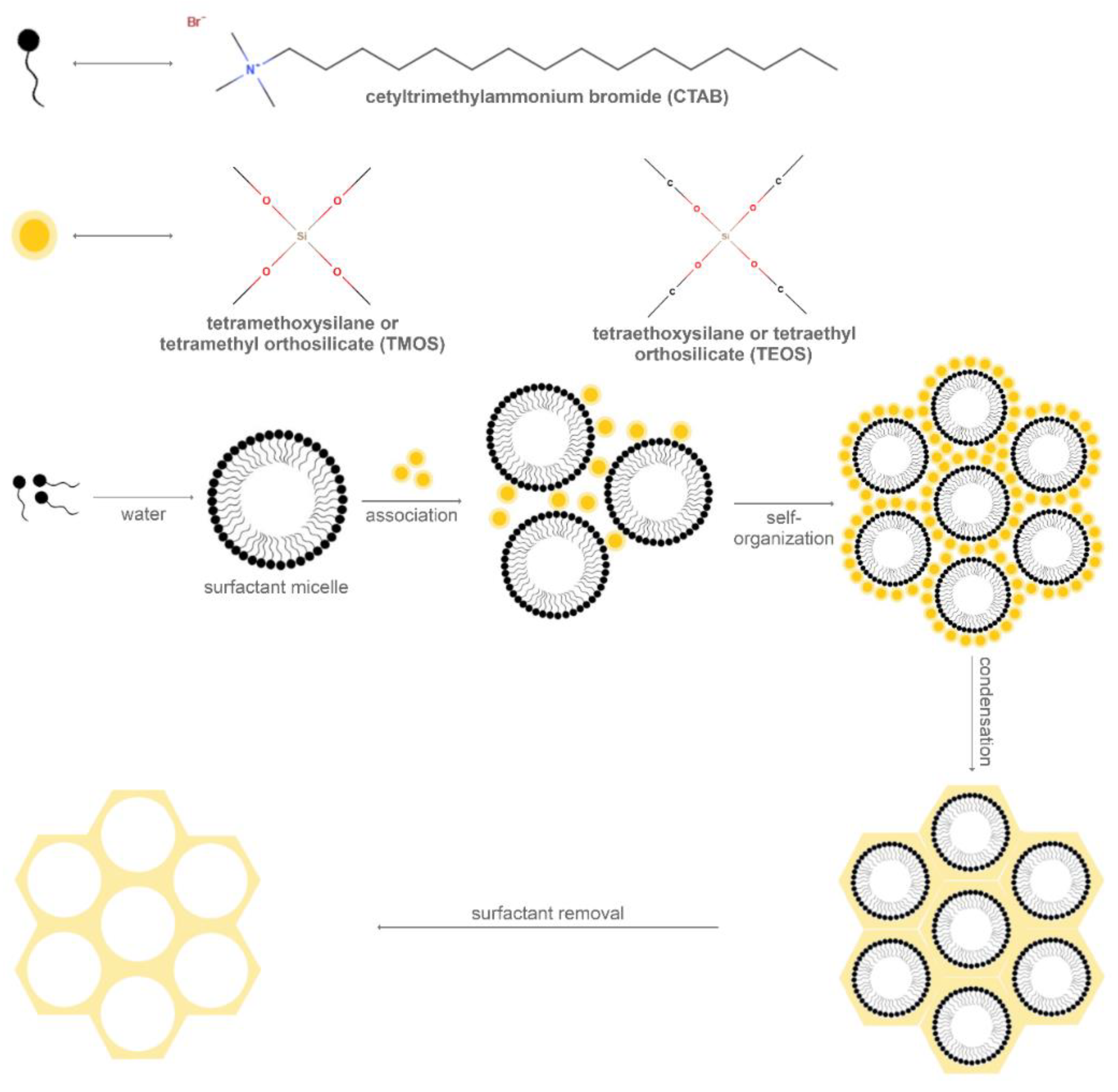 Molecules 25 03814 g002 Molecules 25 03814 g002