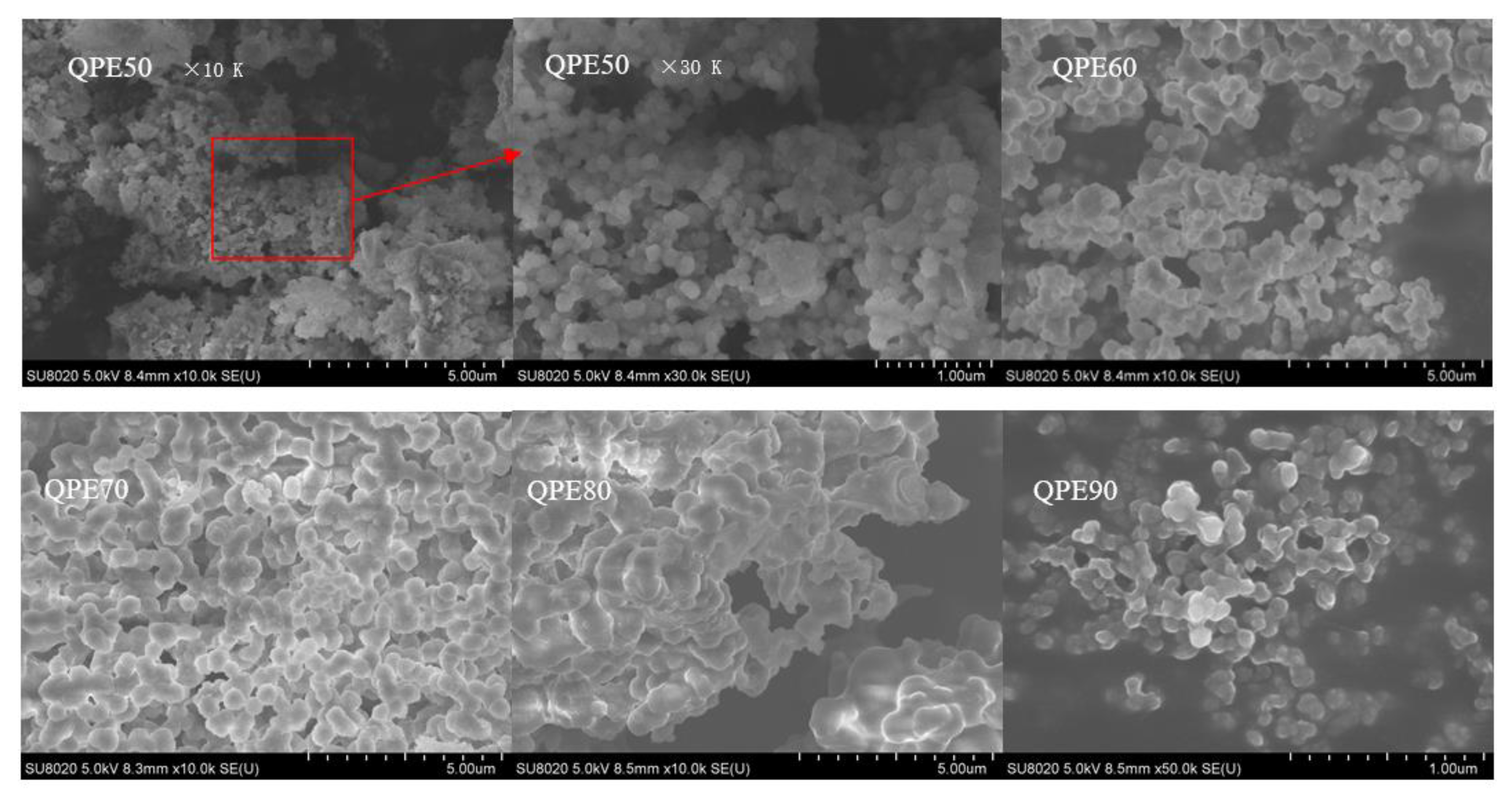 Molecules 25 03840 g004