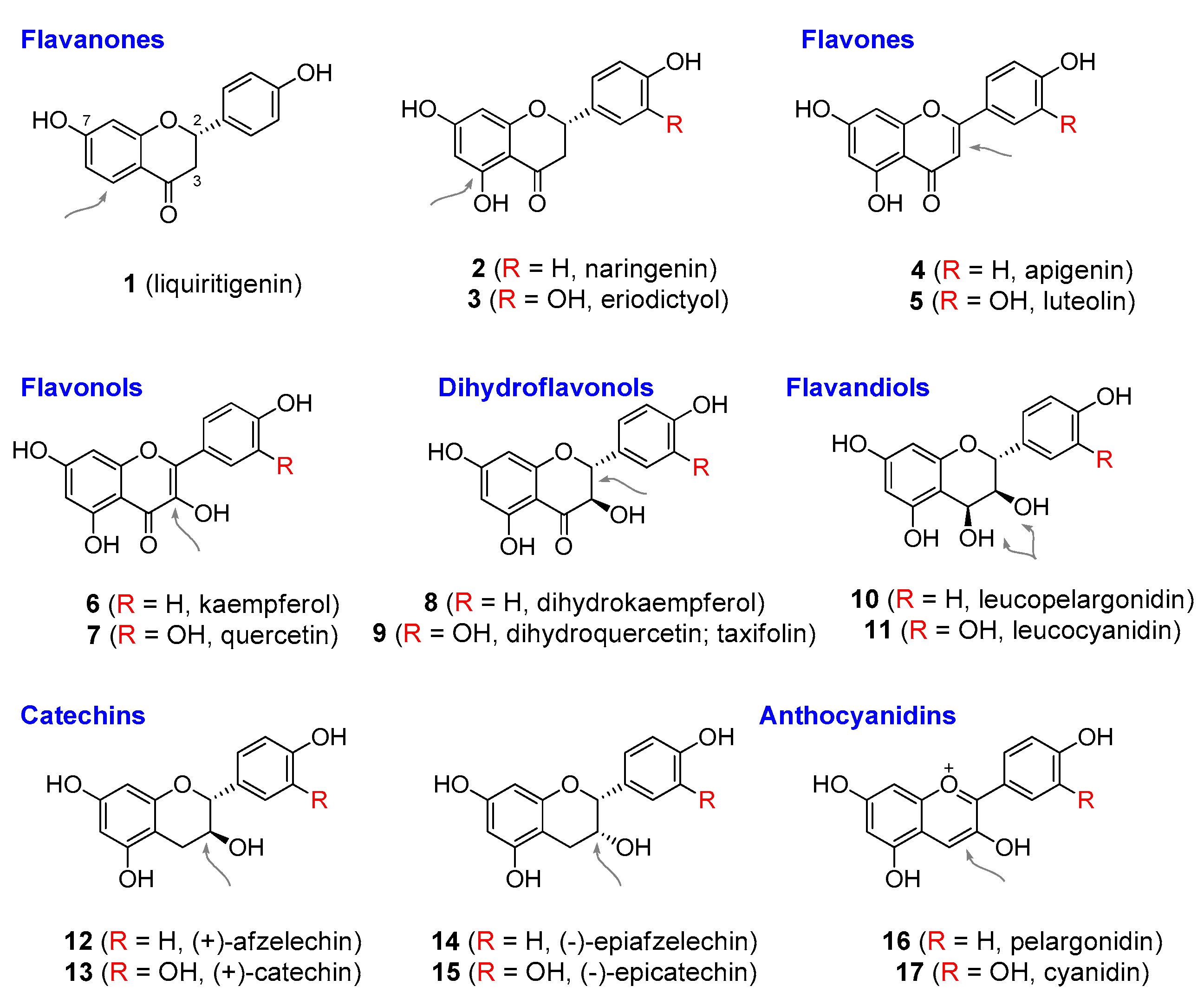 Molecules 25 03846 g002