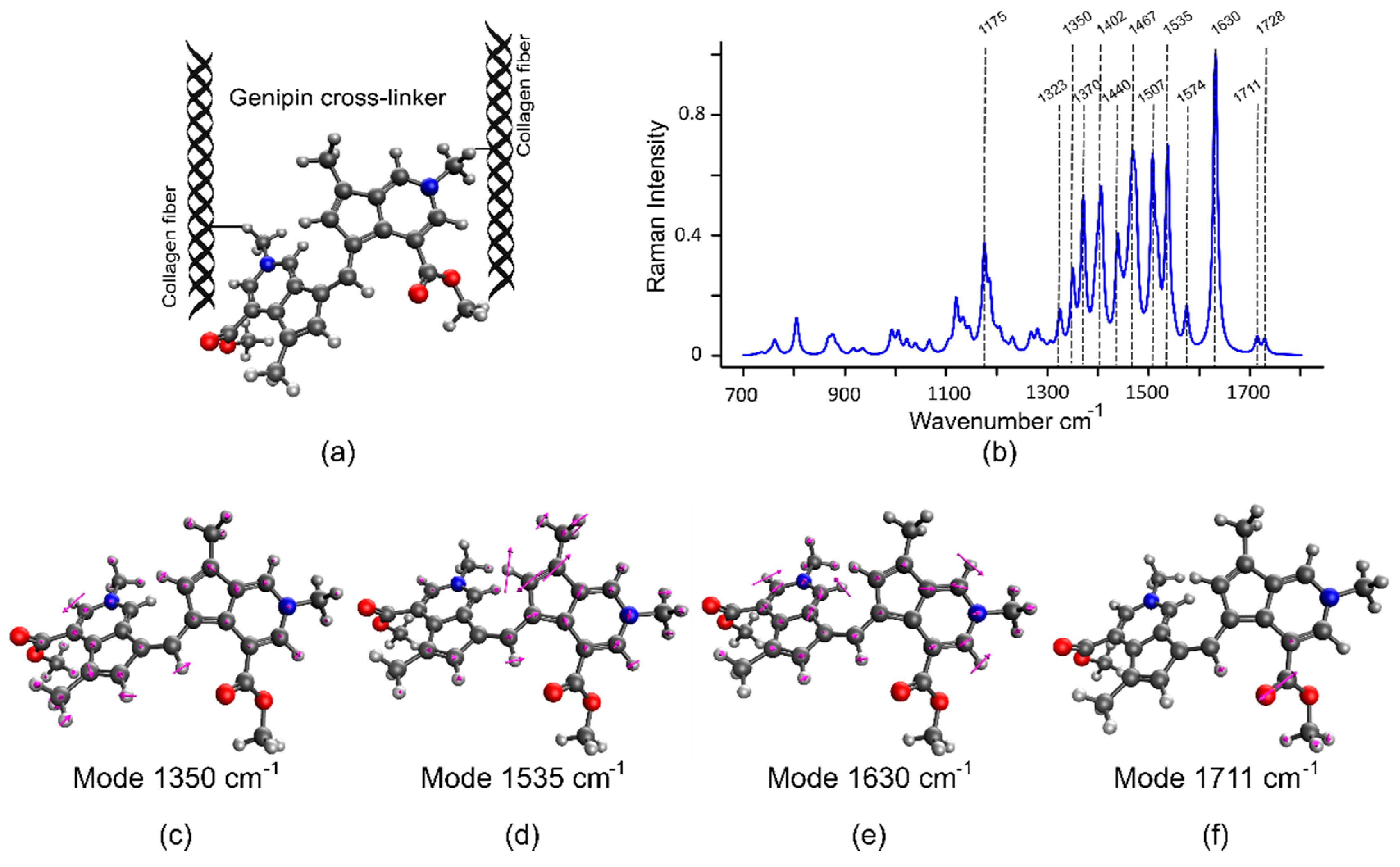 Molecules 25 03857 g004 Molecules 25 03857 g004