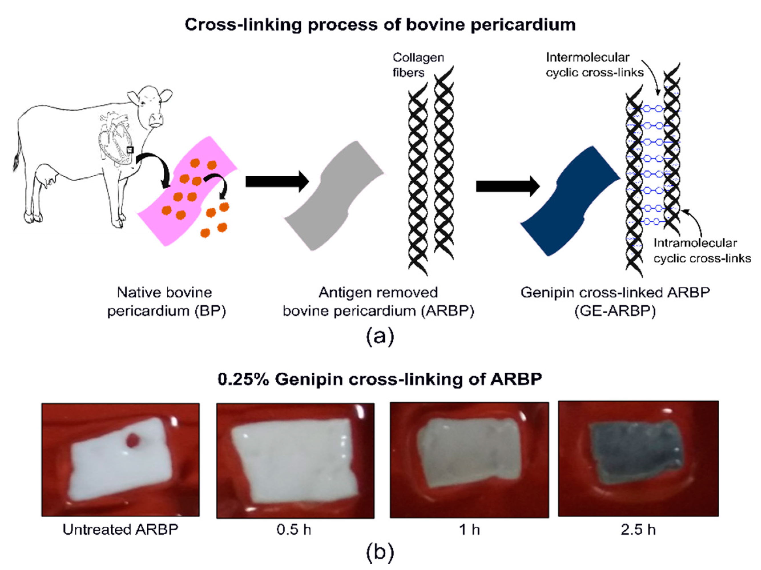 Molecules 25 03857 g006 Molecules 25 03857 g006