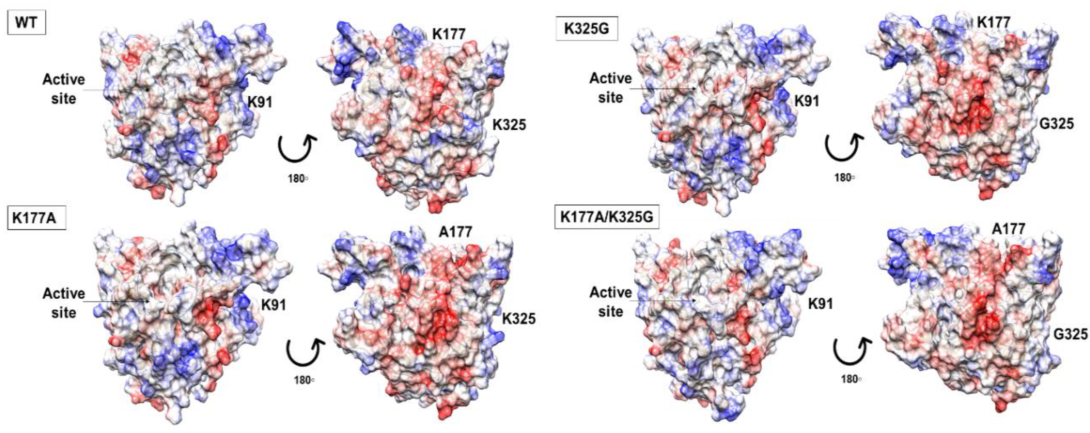 Molecules 25 03858 g002 Molecules 25 03858 g002