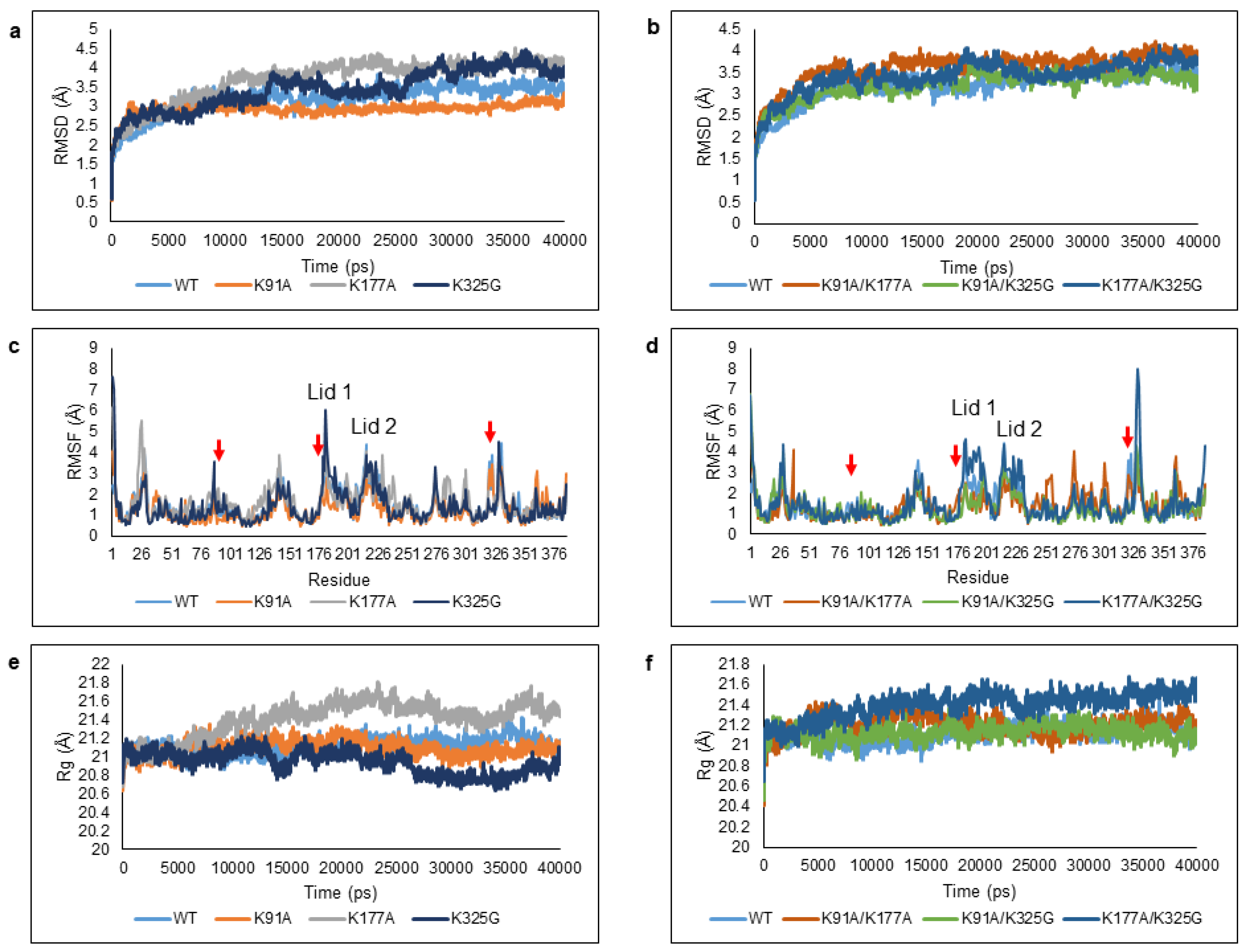 Molecules 25 03858 g003 Molecules 25 03858 g003
