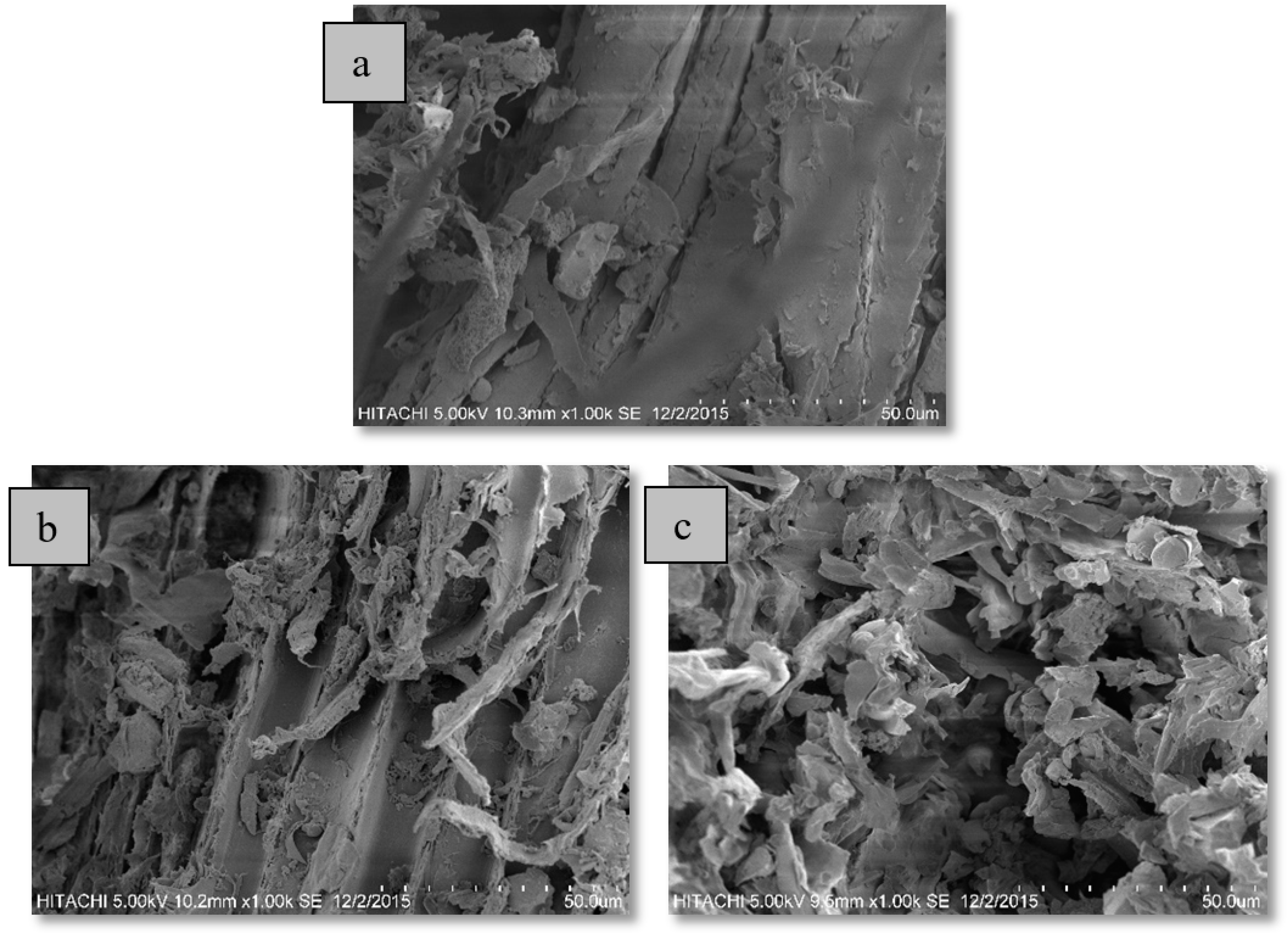 Molecules 25 03872 g005 Molecules 25 03872 g005