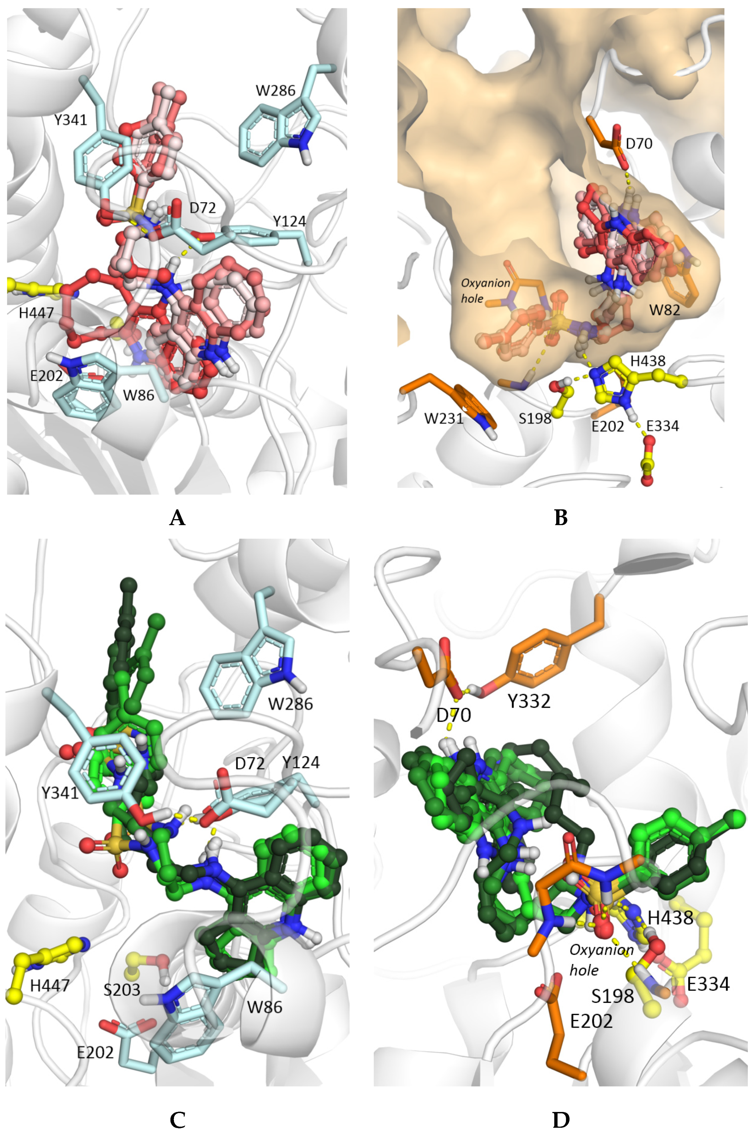 https://www.mdpi.com/molecules/molecules-25-03915/article_deploy/html/images/molecules-25-03915-g004.png