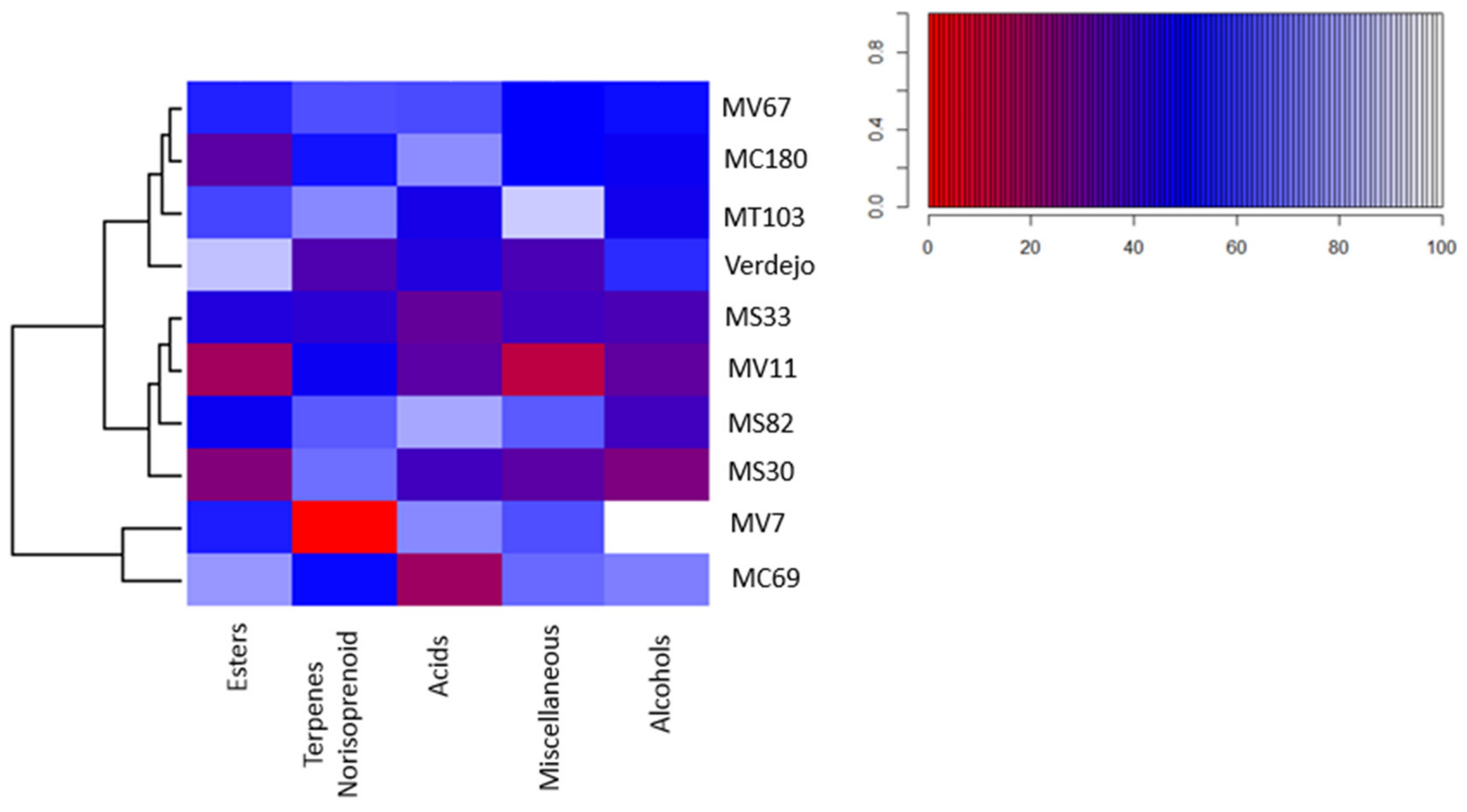 Molecules 25 03917 g003 Molecules 25 03917 g003