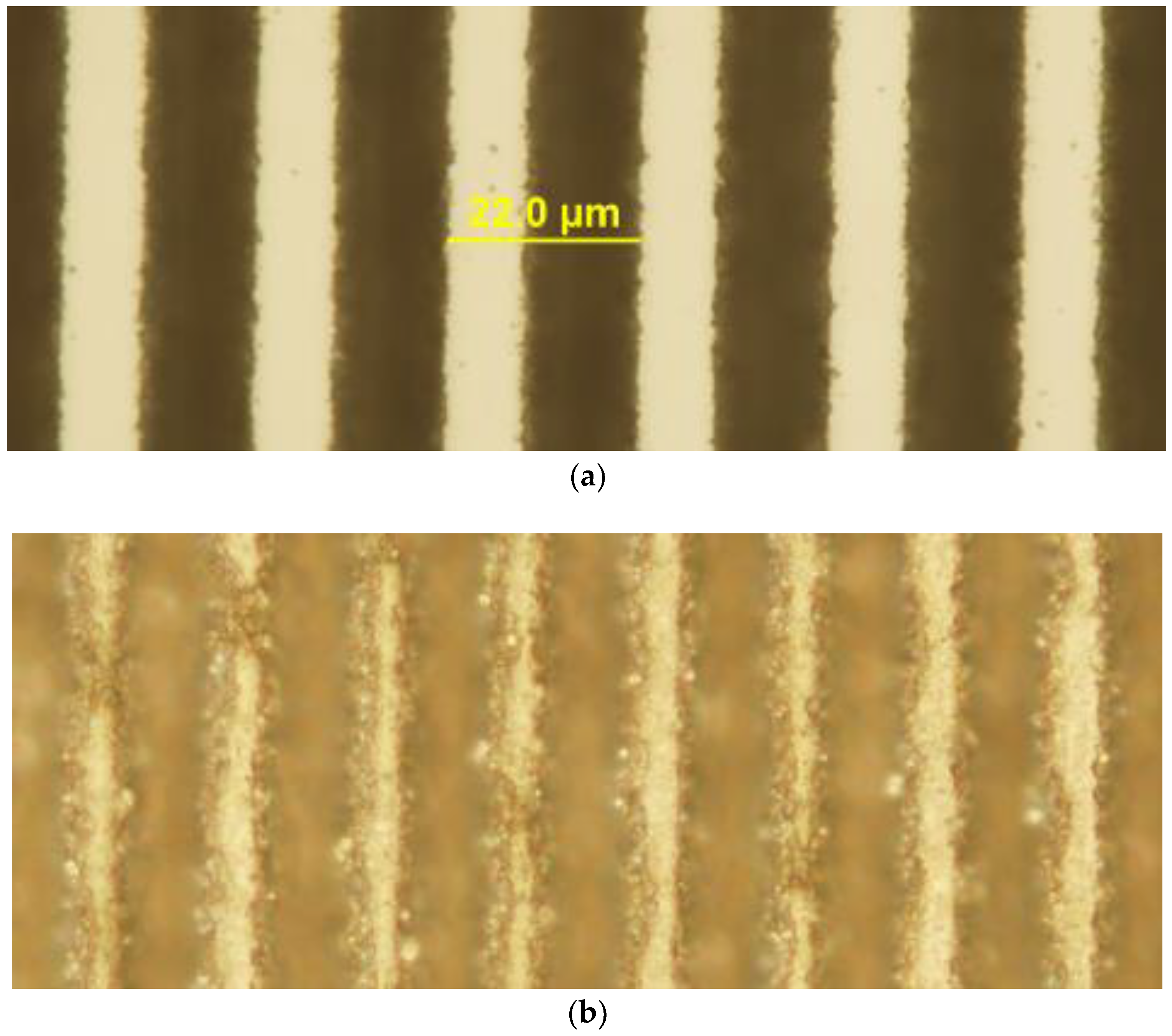 Molecules 25 03925 g003 Molecules 25 03925 g003