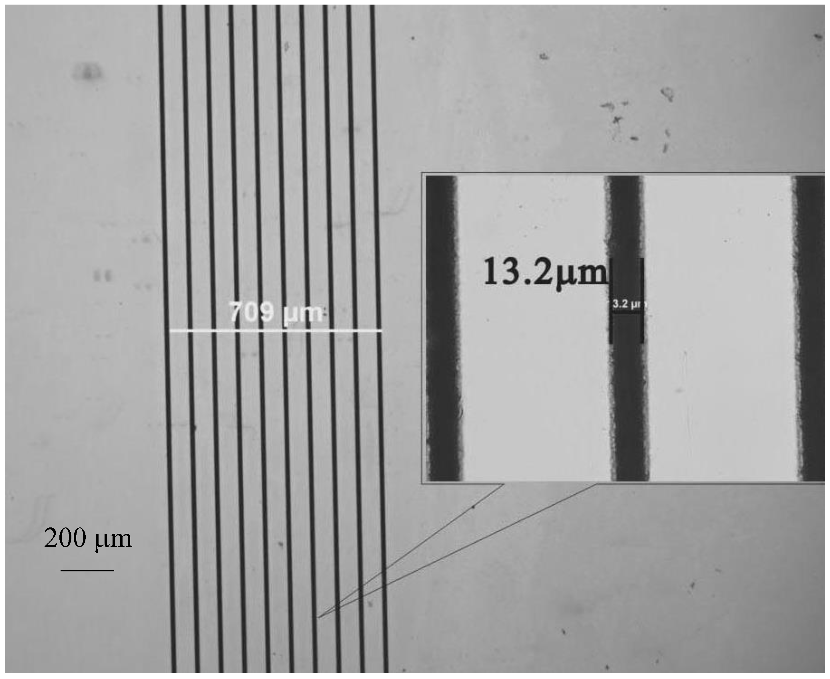 Molecules 25 03925 g005 Molecules 25 03925 g005