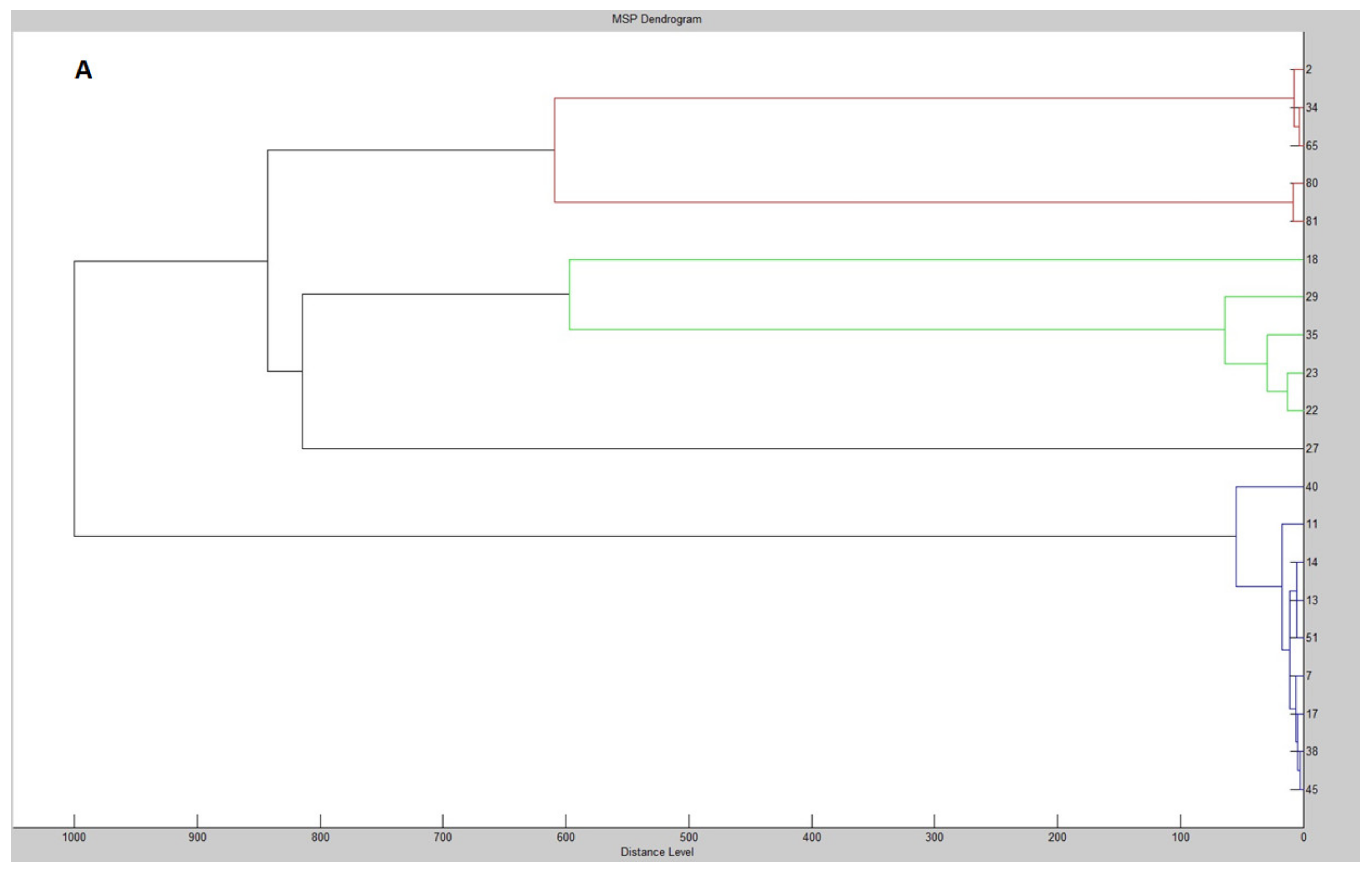 Molecules 25 03930 g001a