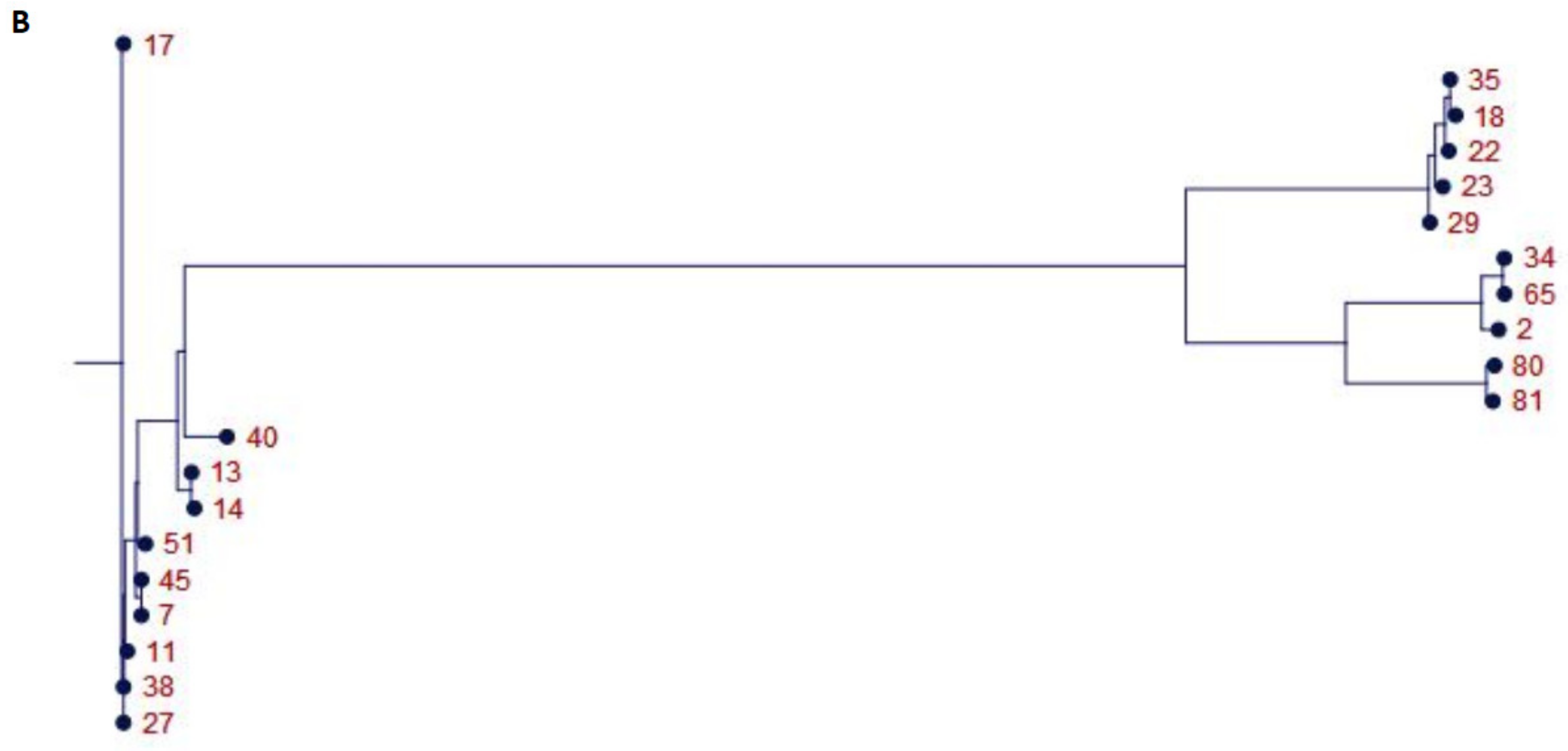 Molecules 25 03930 g001b