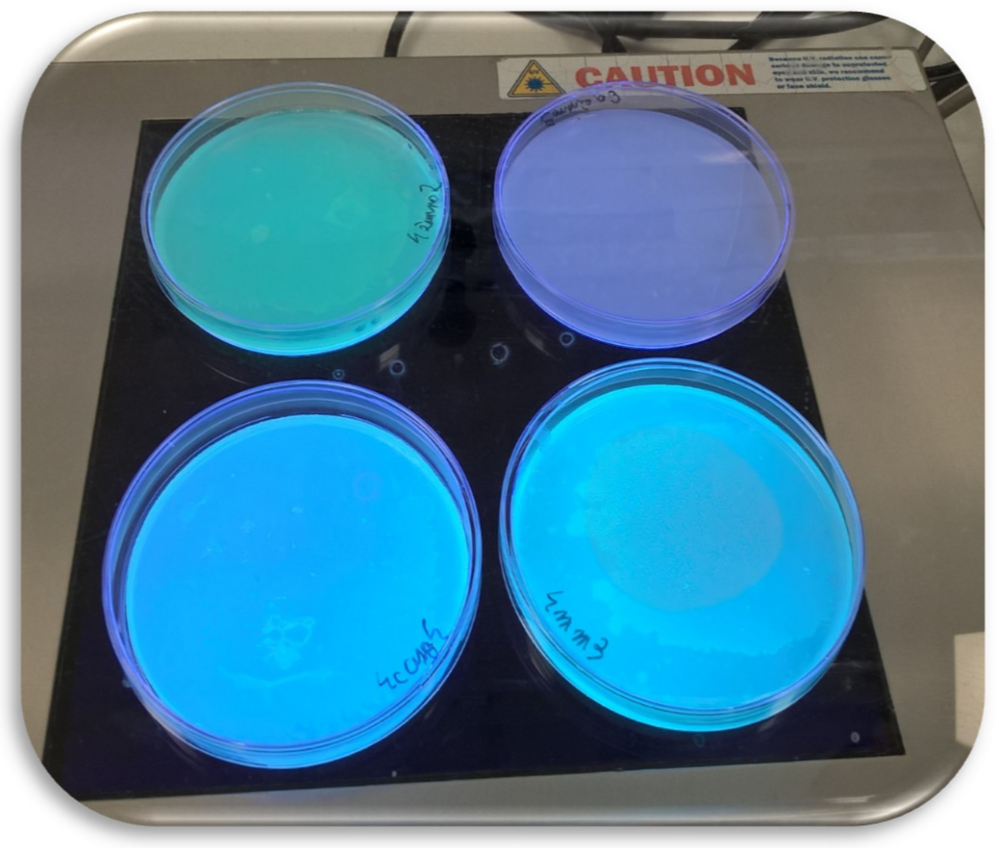 Molecules 25 03930 g002