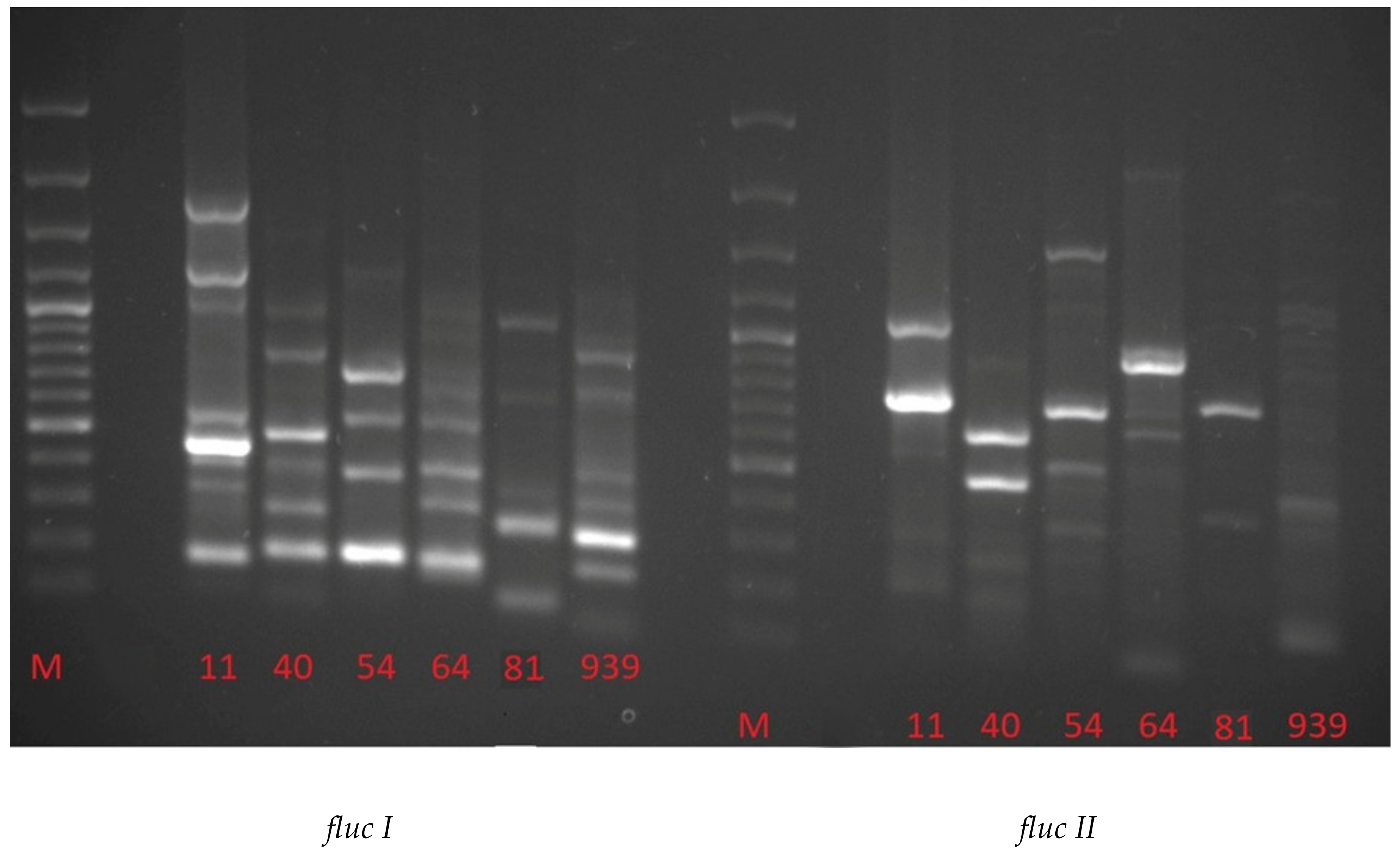 Molecules 25 03930 g003