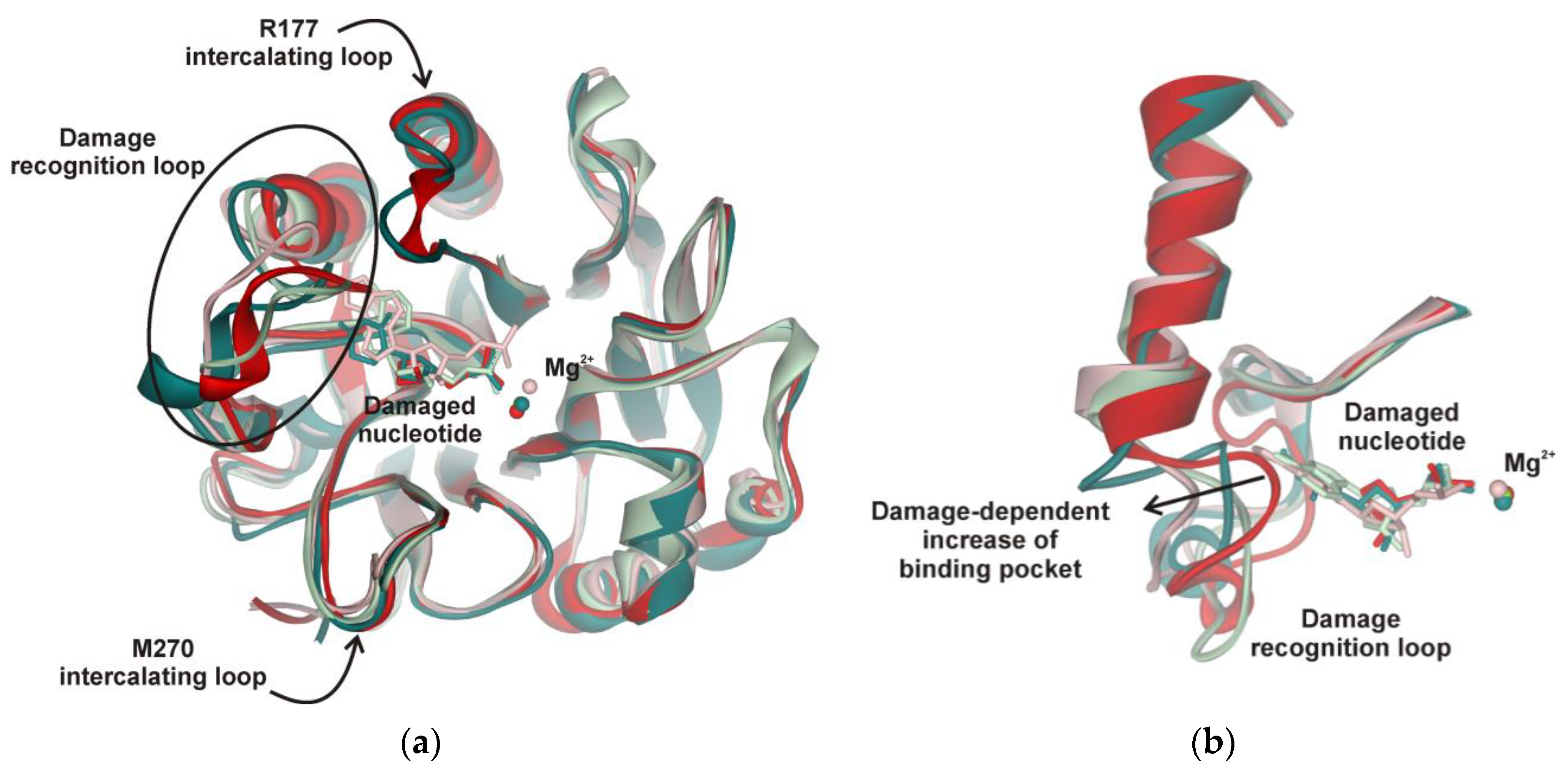Molecules 25 03940 g007 Molecules 25 03940 g007