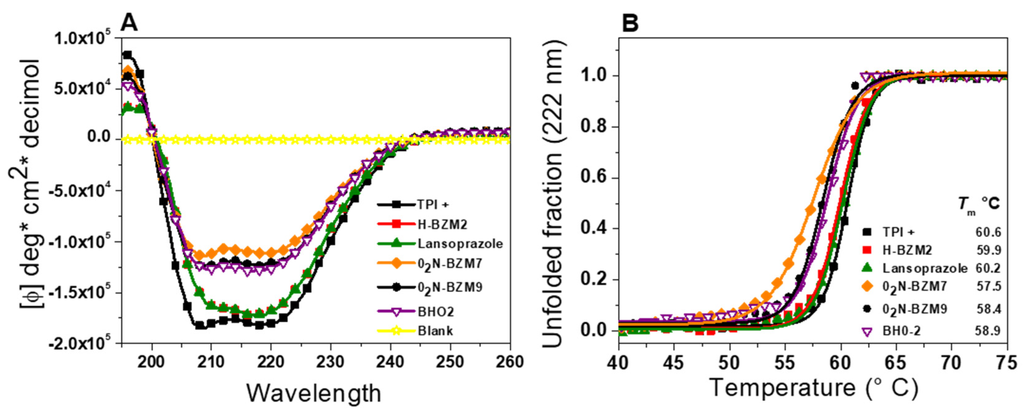 Molecules 25 03979 g007 Molecules 25 03979 g007