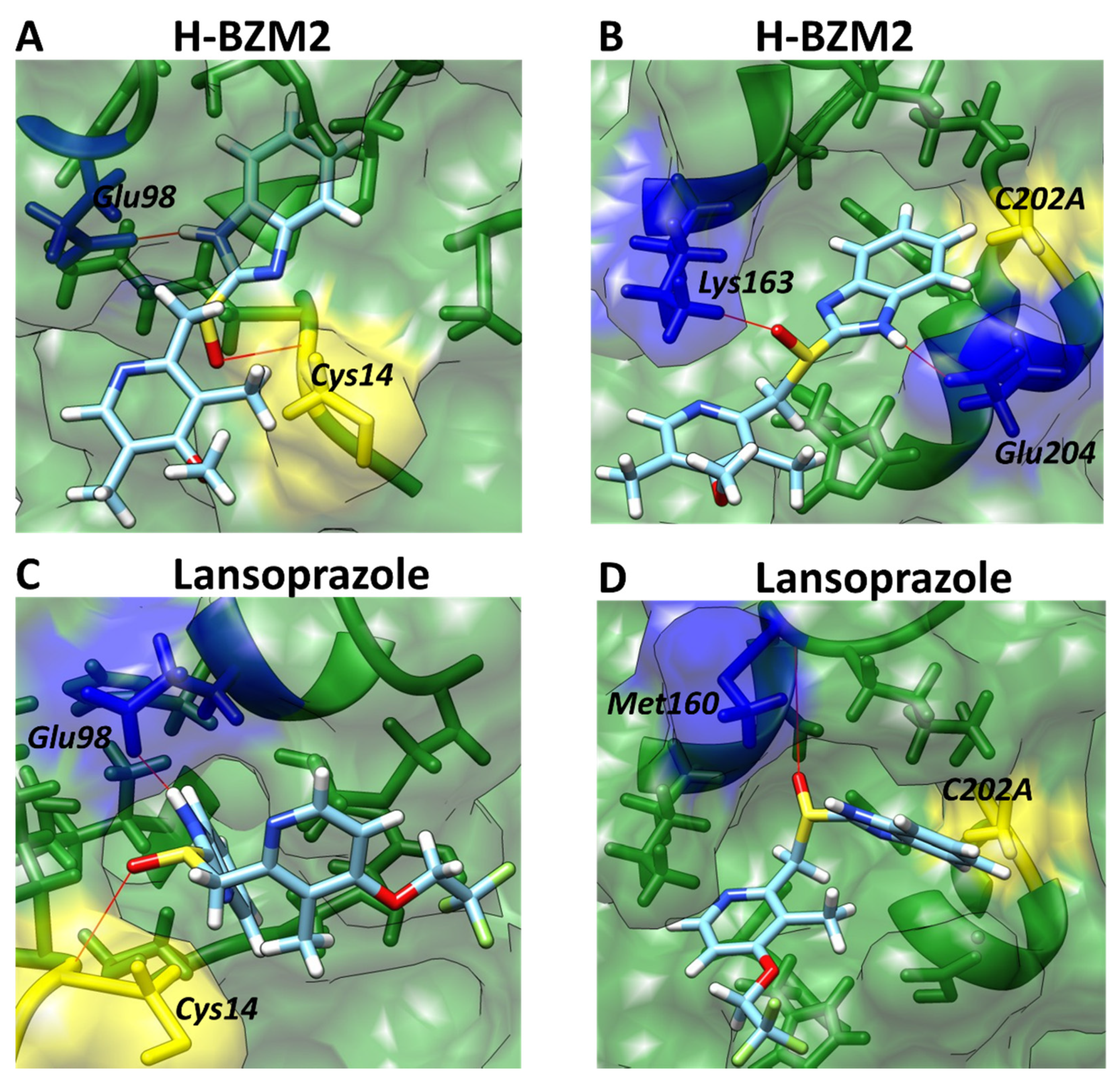Molecules 25 03979 g011 Molecules 25 03979 g011