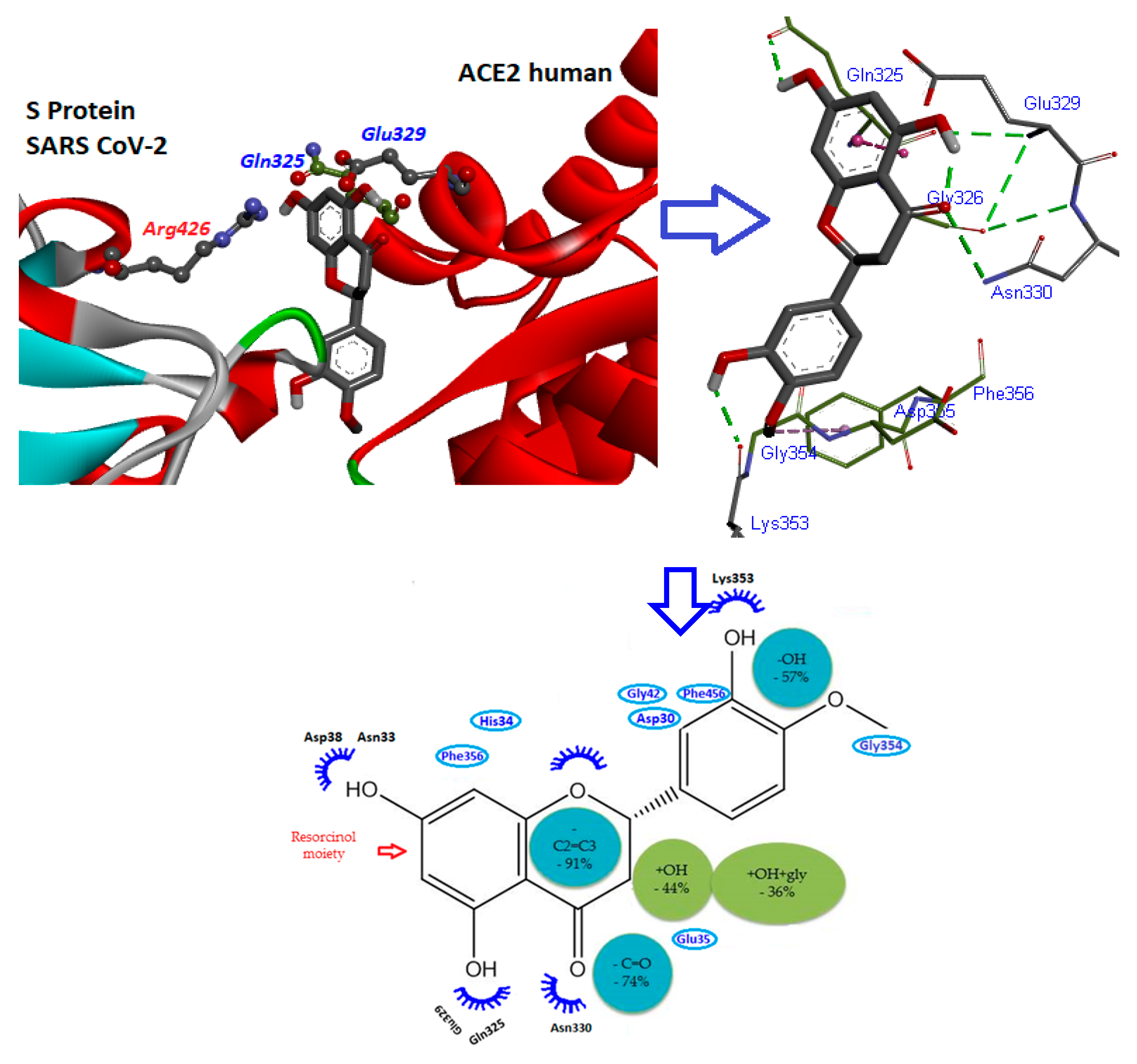 Molecules 25 03980 g006 Molecules 25 03980 g006