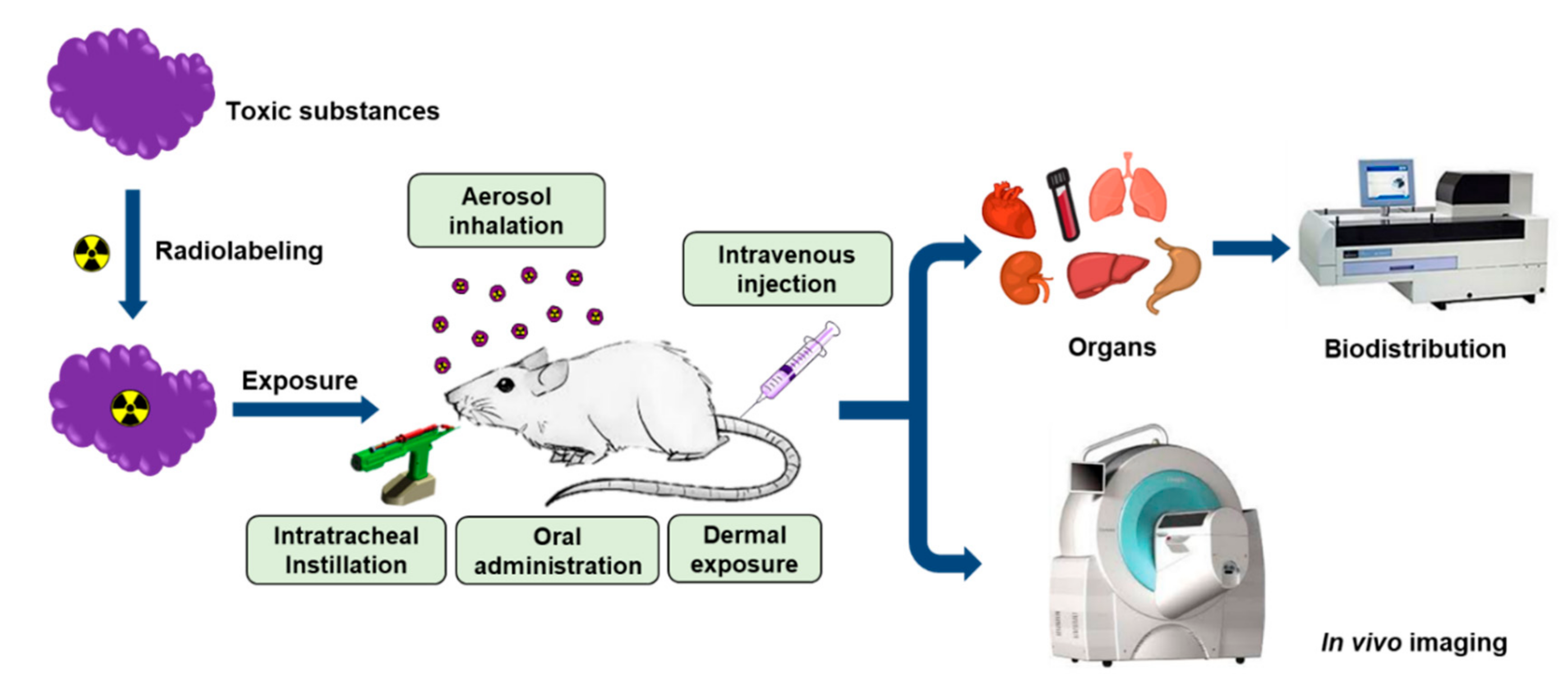 Molecules 25 03985 g001 Molecules 25 03985 g001