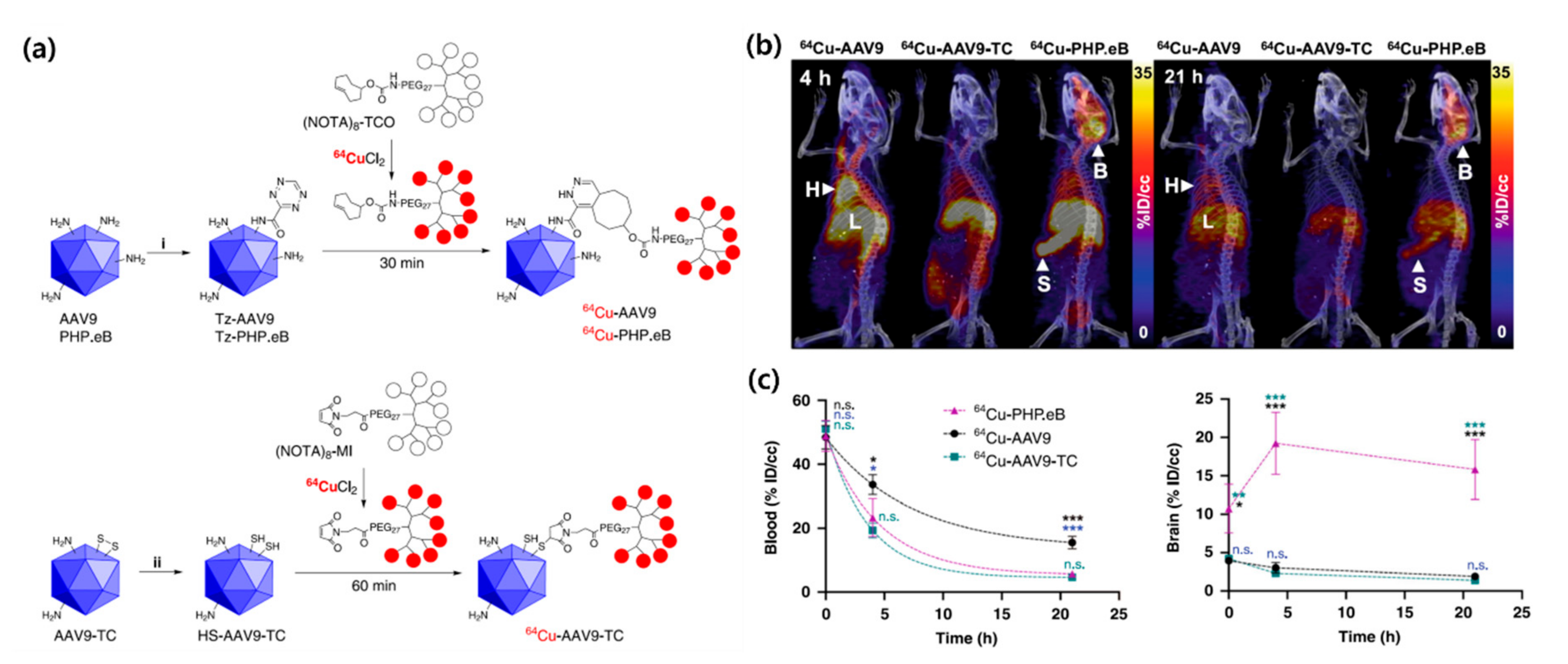 Molecules 25 03985 g004 Molecules 25 03985 g004