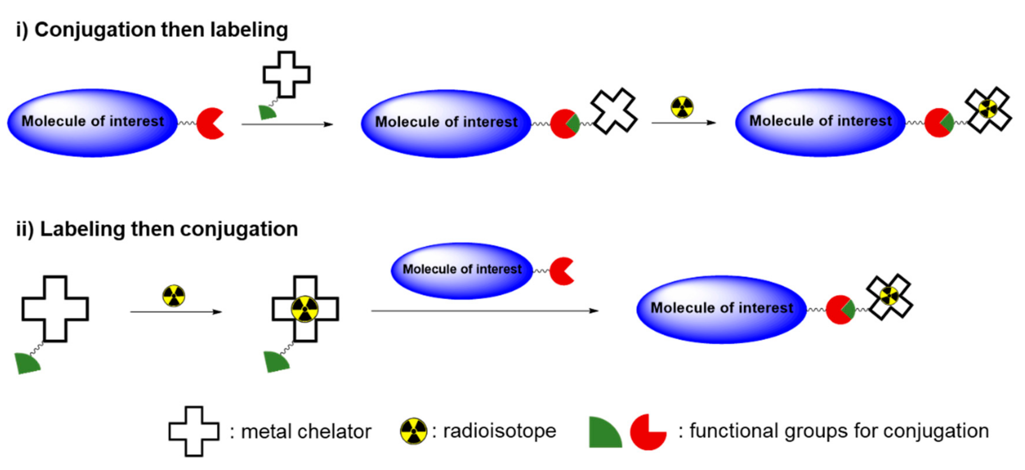 Molecules 25 03985 sch001 Molecules 25 03985 sch001