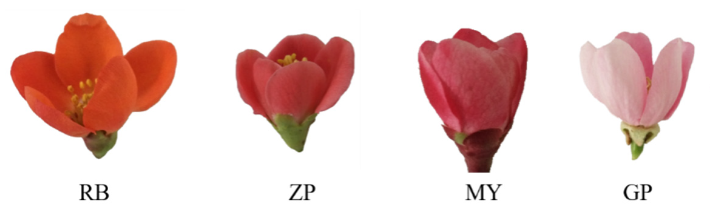 Molecules 25 03994 g001