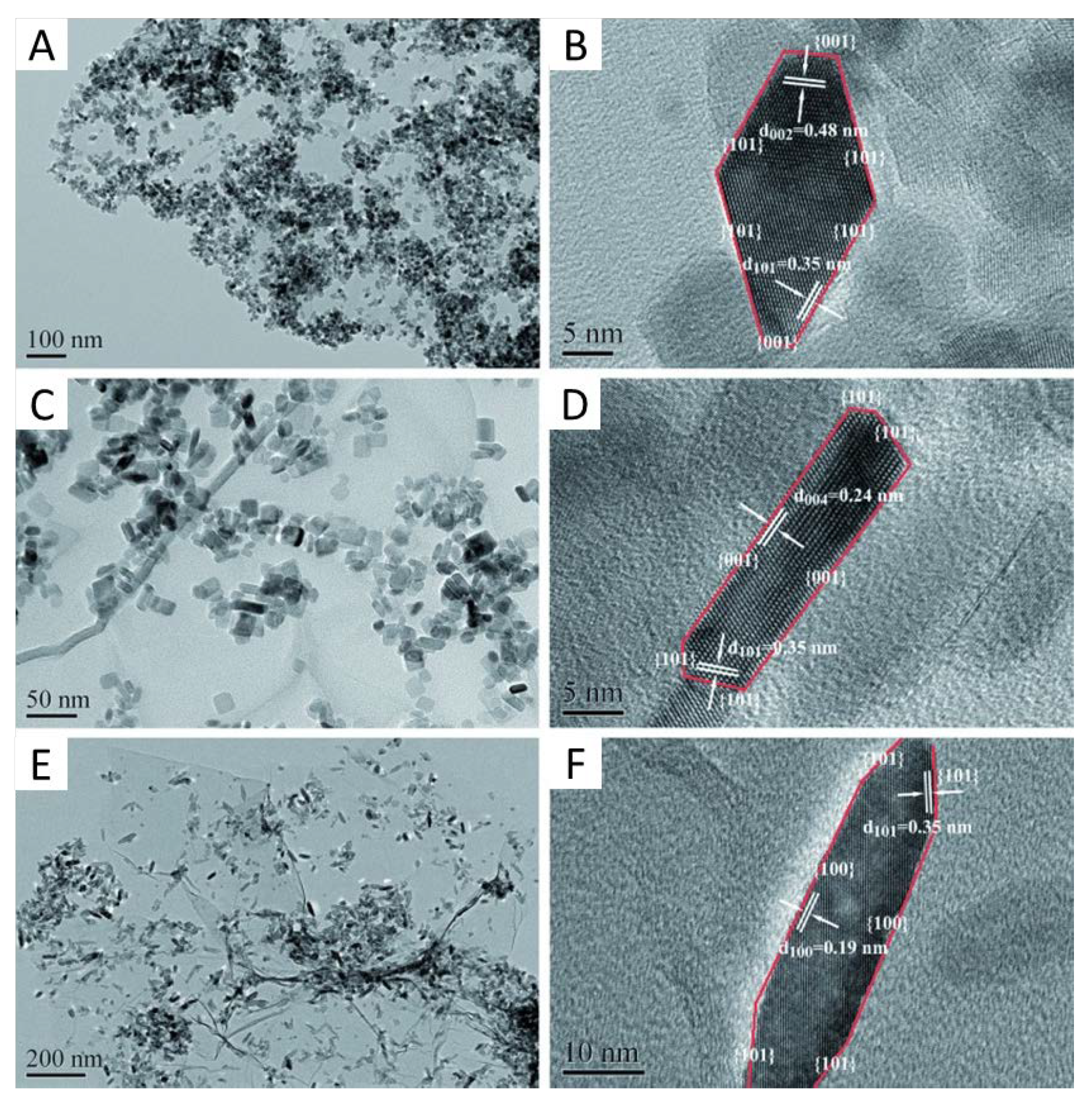 Molecules 25 04008 g006