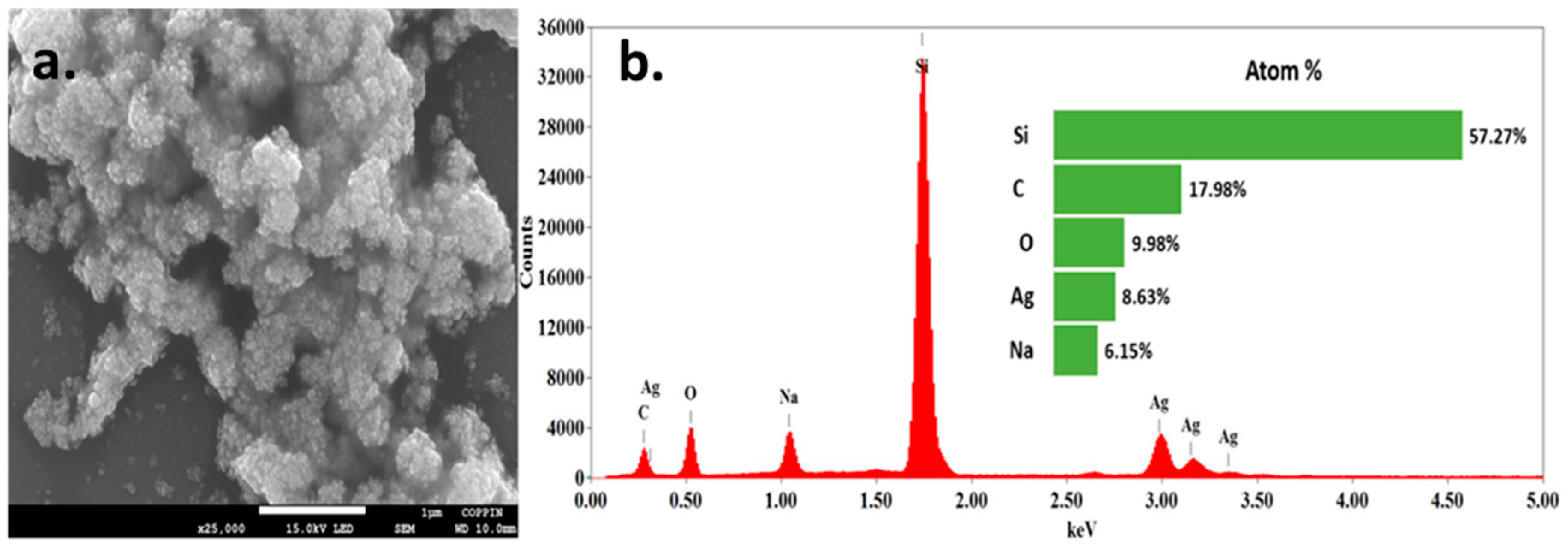 Molecules 25 04021 g003 Molecules 25 04021 g003