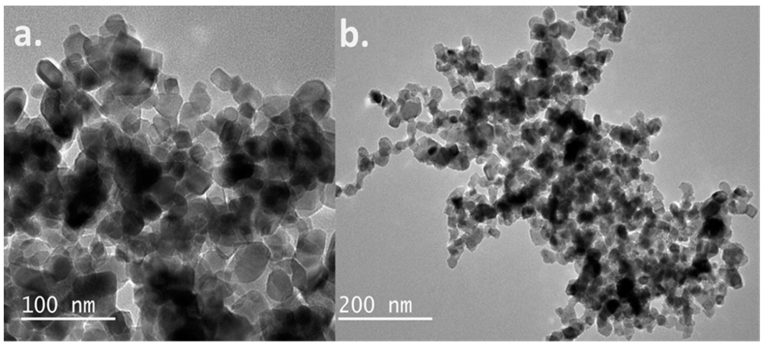 Molecules 25 04021 g004 Molecules 25 04021 g004
