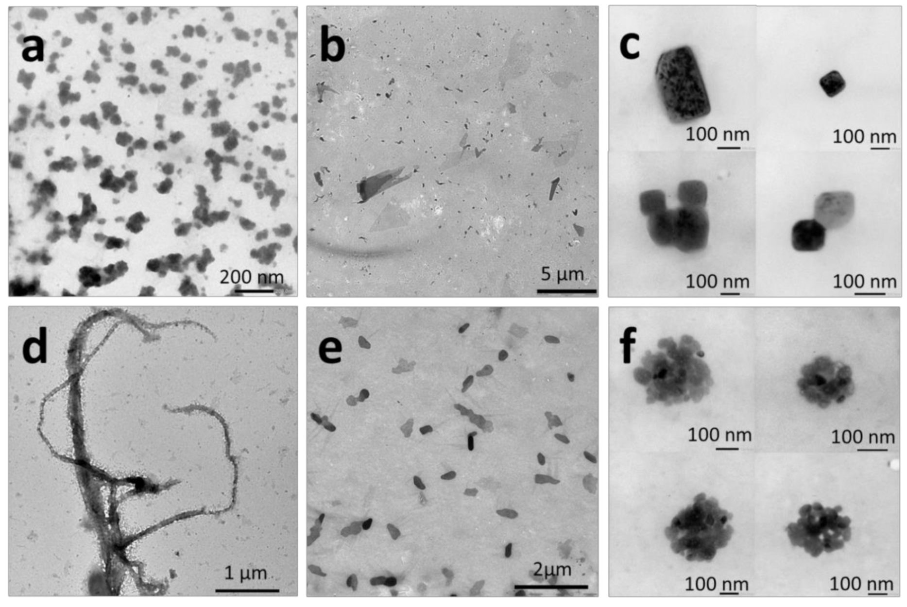 Molecules 25 04033 g004 Molecules 25 04033 g004