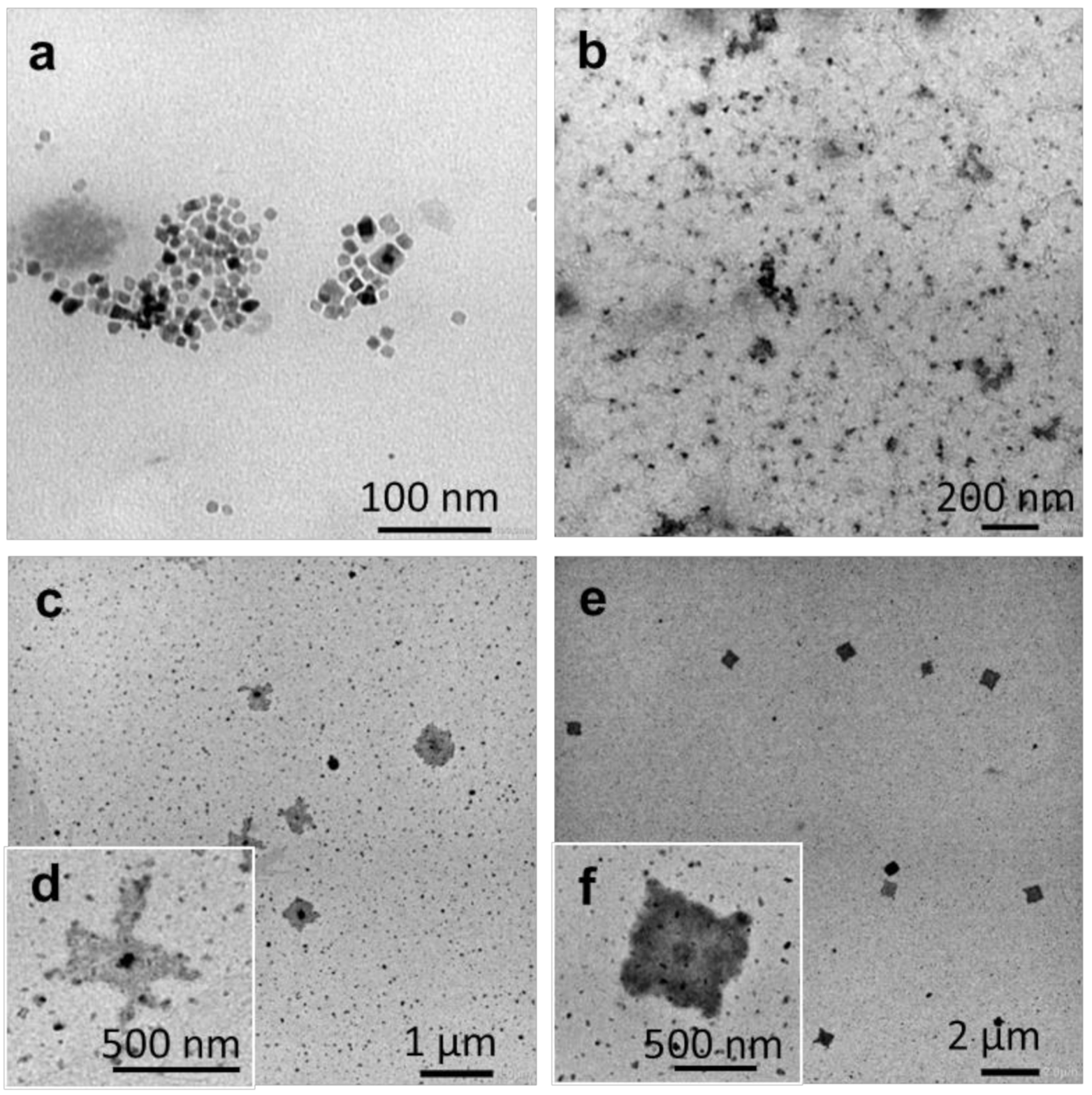 Molecules 25 04033 g006 Molecules 25 04033 g006