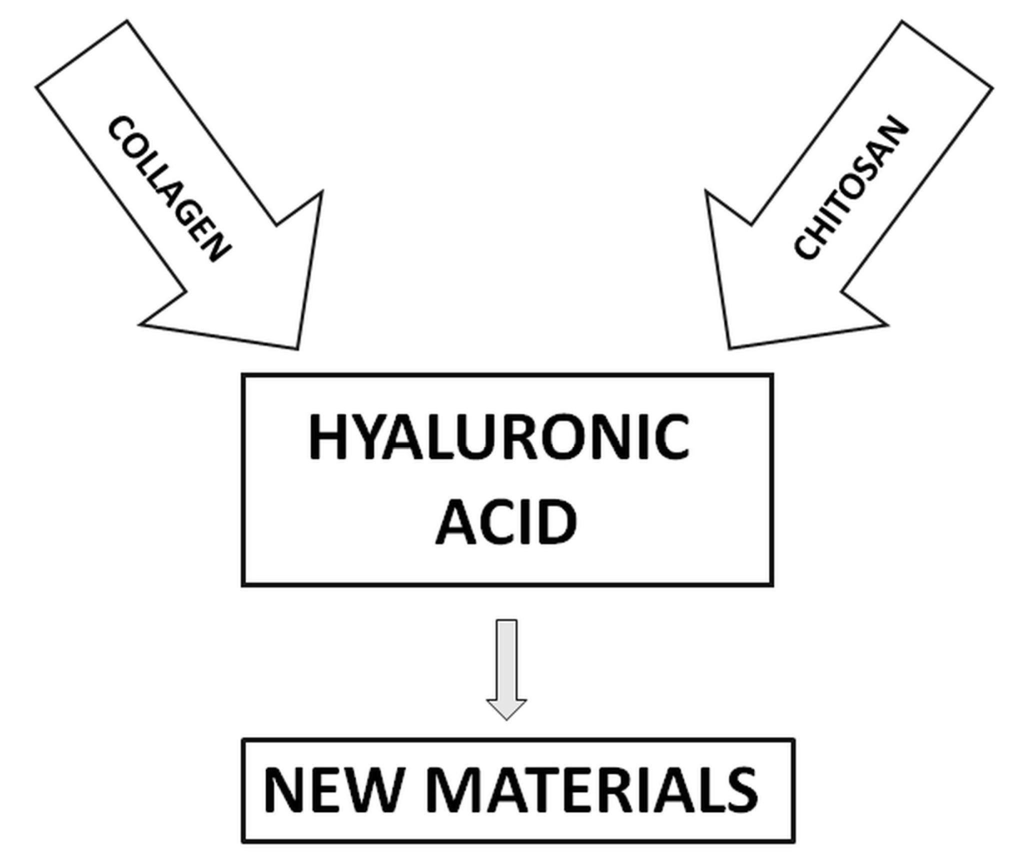 Molecules 25 04035 g004