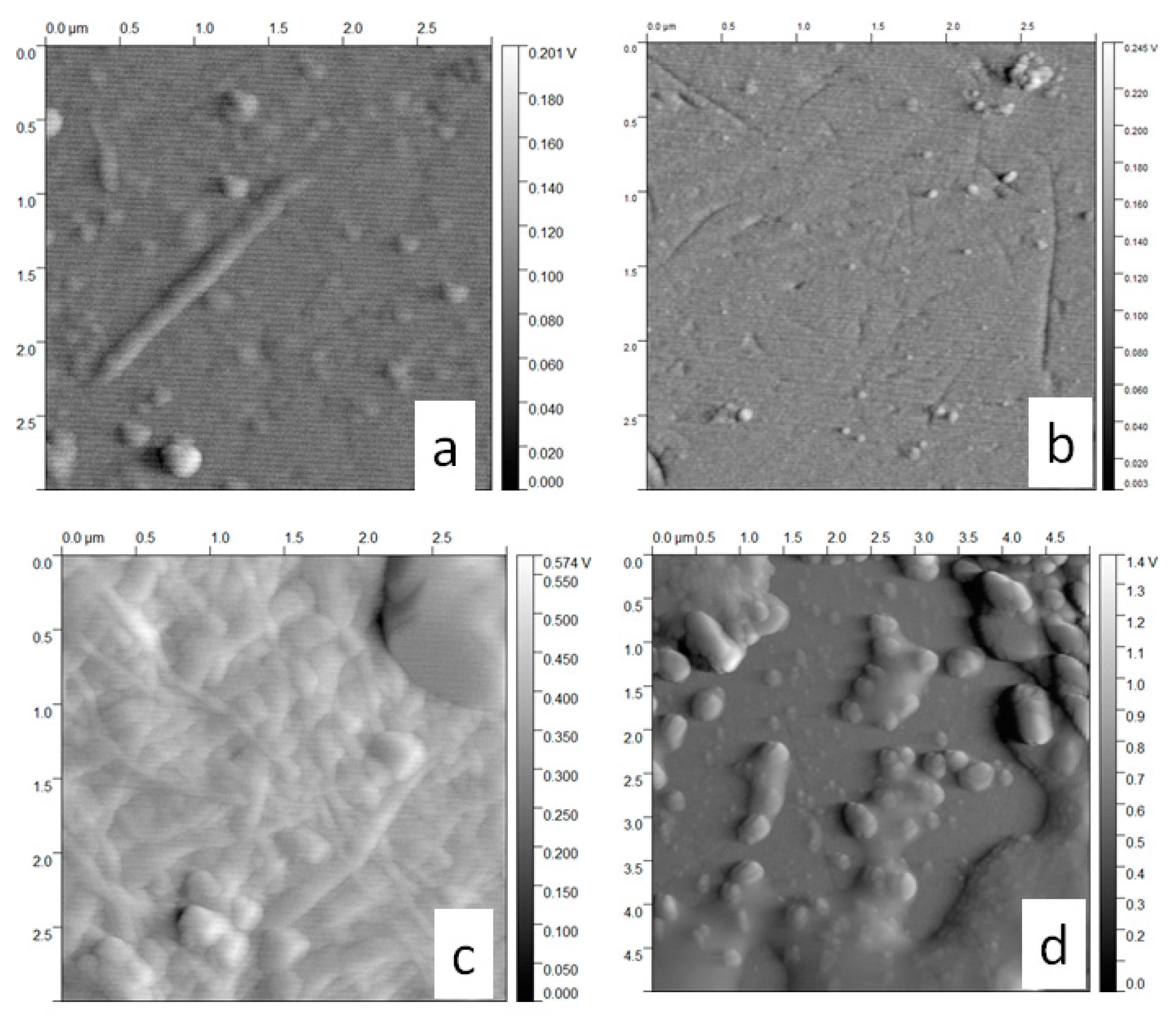 Molecules 25 04041 g005 Molecules 25 04041 g005