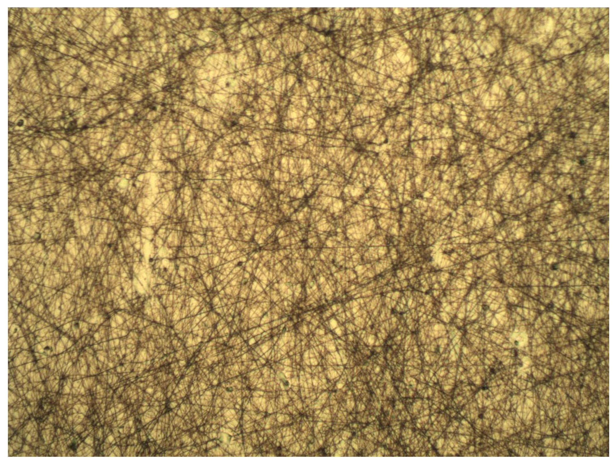 Molecules 25 04060 g005 Molecules 25 04060 g005