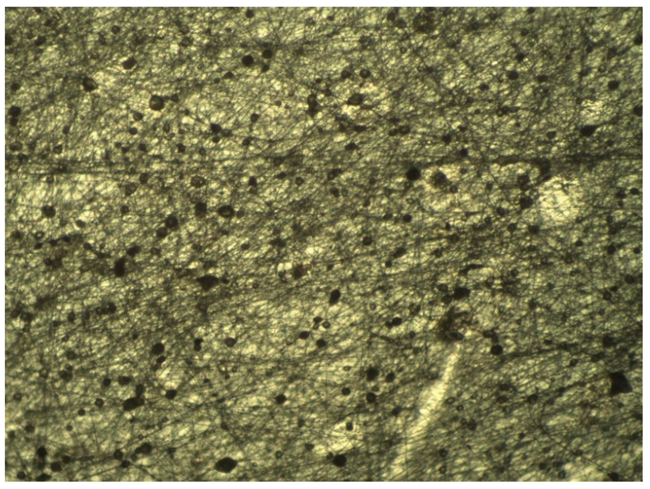 Molecules 25 04060 g006 Molecules 25 04060 g006