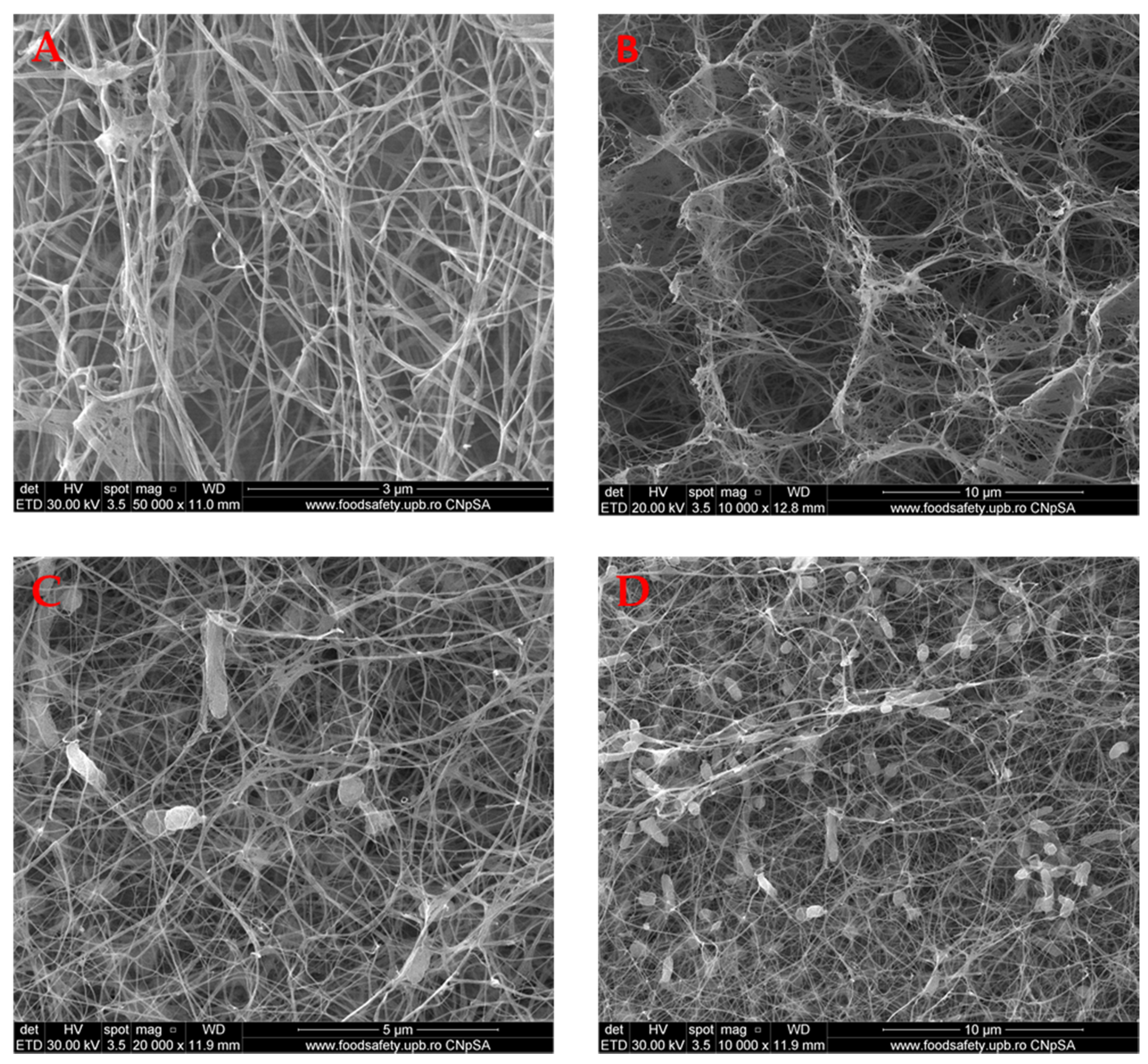 Molecules 25 04069 g001 Molecules 25 04069 g001