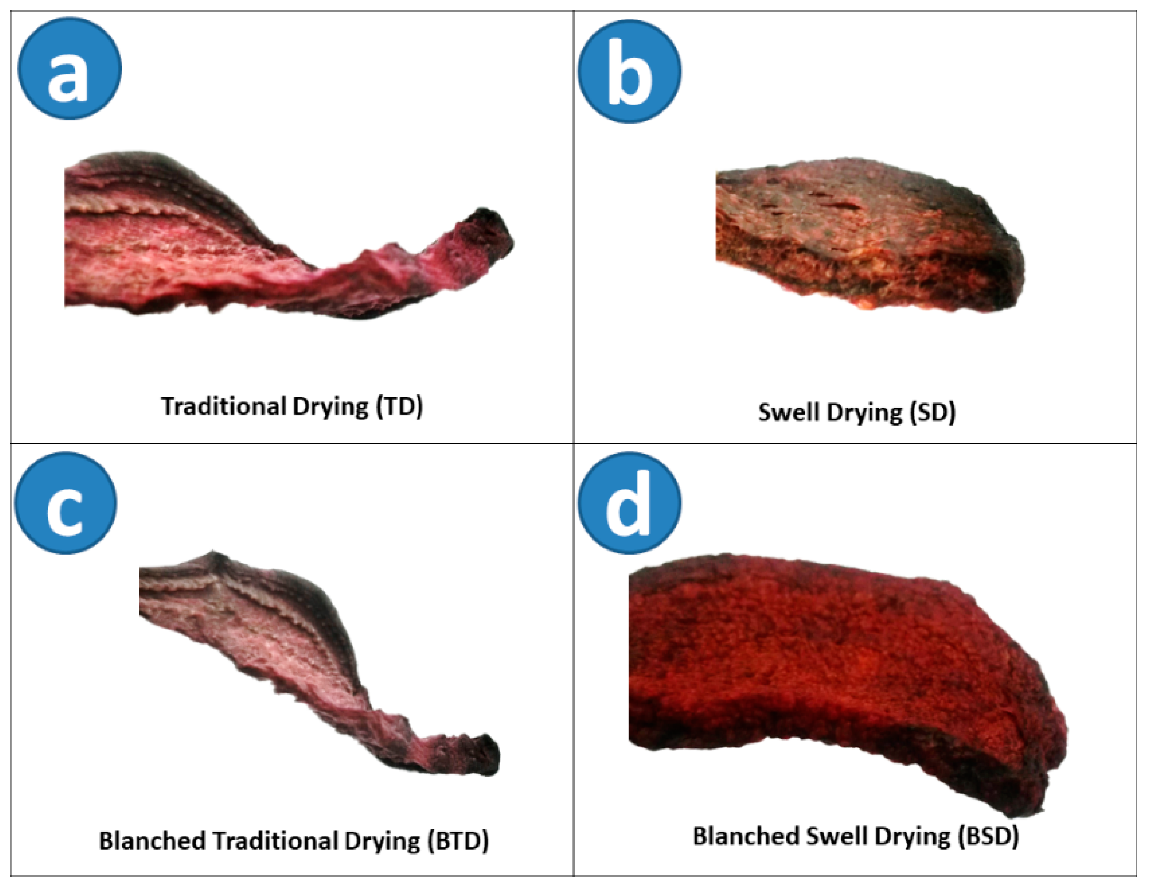 Molecules 25 04132 g001 Molecules 25 04132 g001