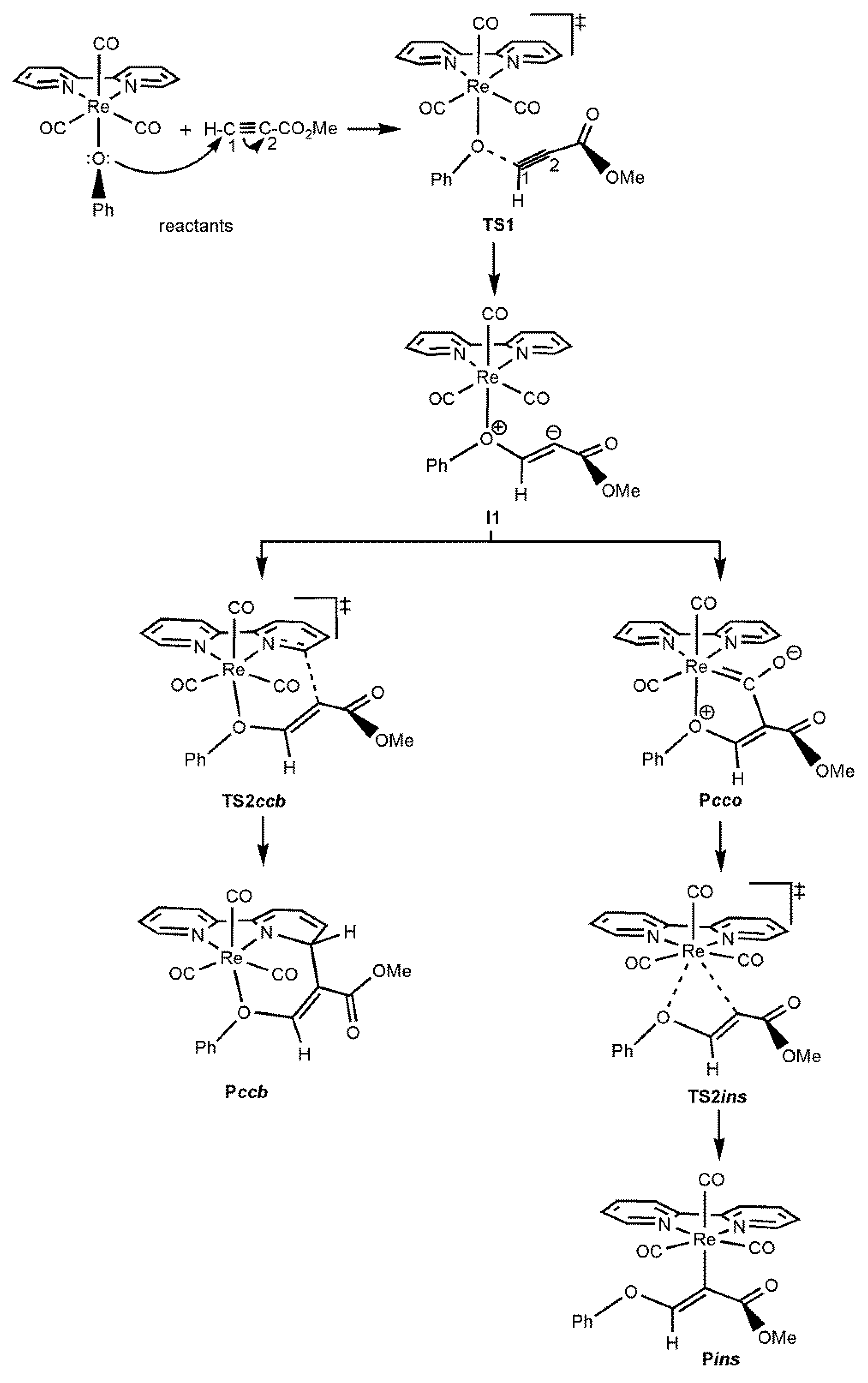 Molecules 25 04134 sch005