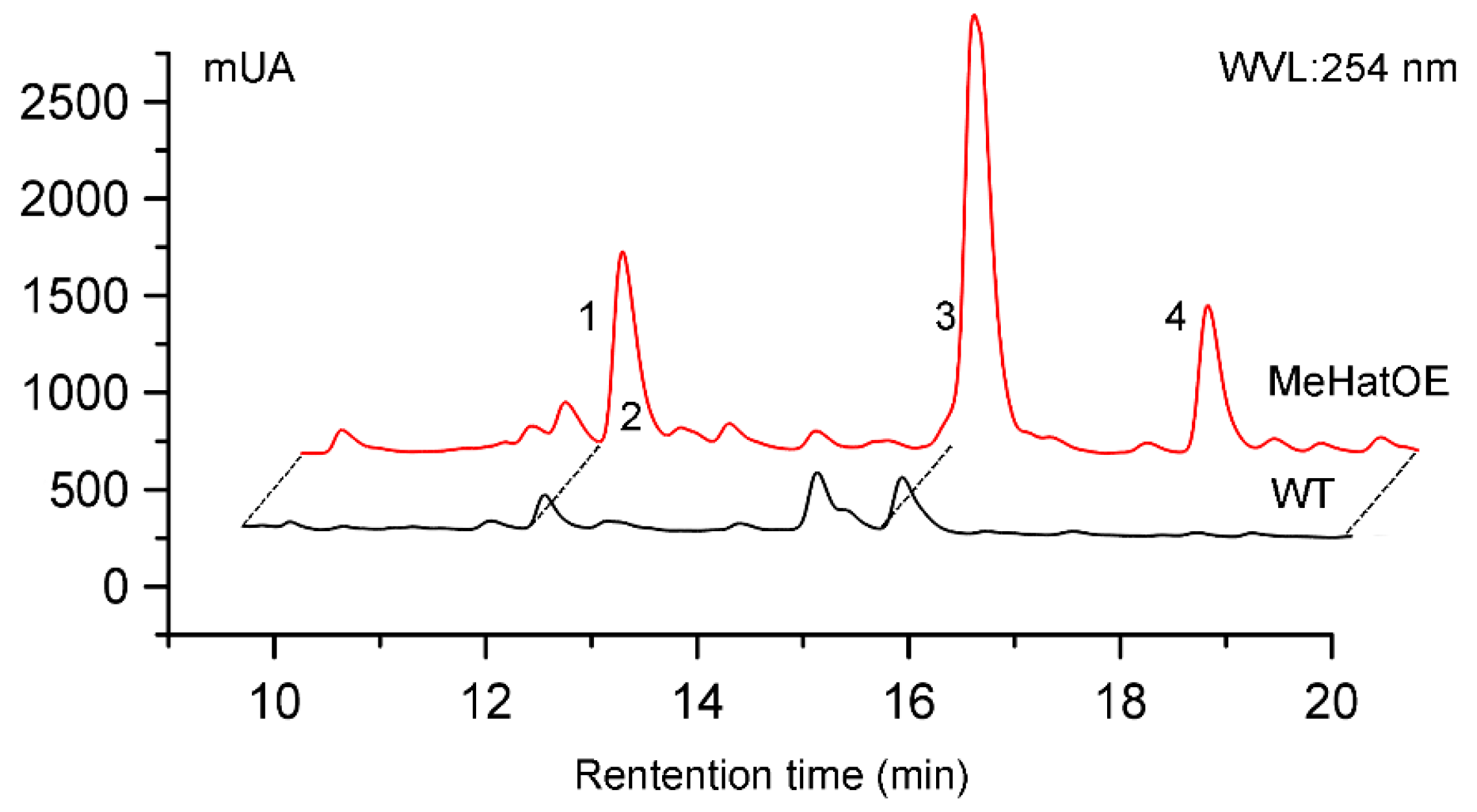 Molecules 25 04192 g001