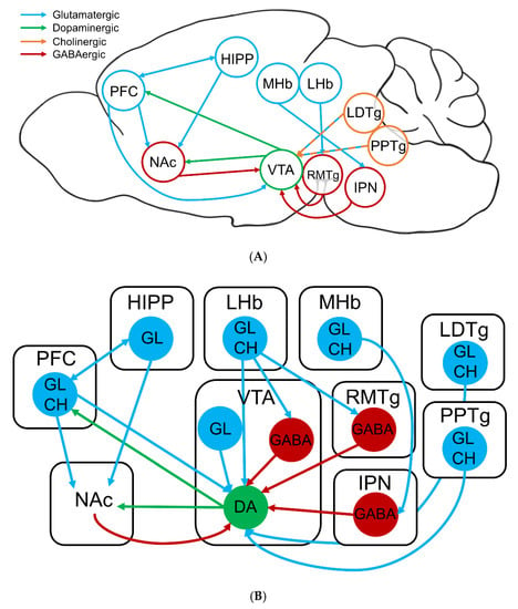 Molecules Free Full Text The Impact Of Electronic Nicotine Delivery System Ends Flavors On Nicotinic Acetylcholine Receptors And Nicotine Addiction Related Behaviors Html