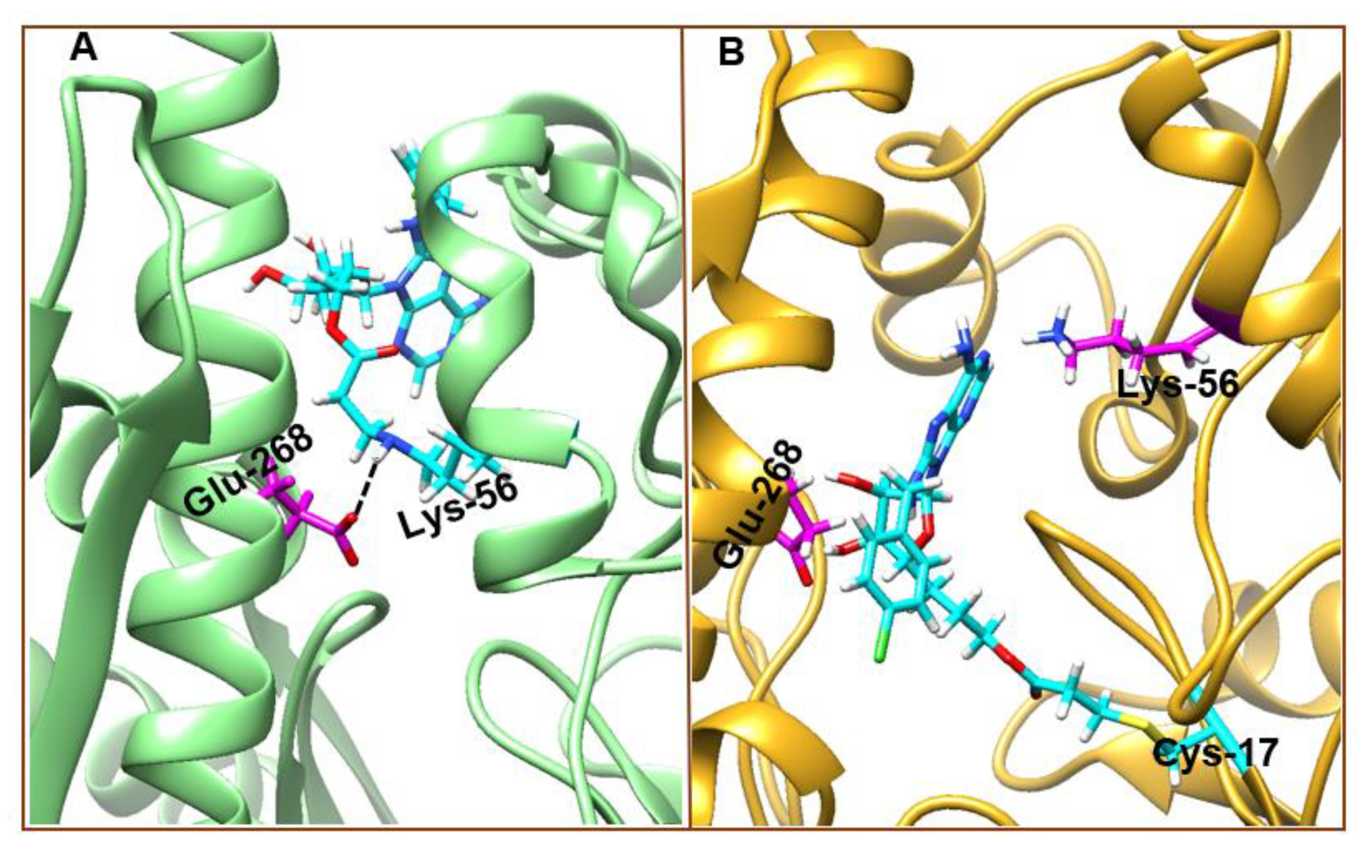 Molecules 25 04239 g010 Molecules 25 04239 g010