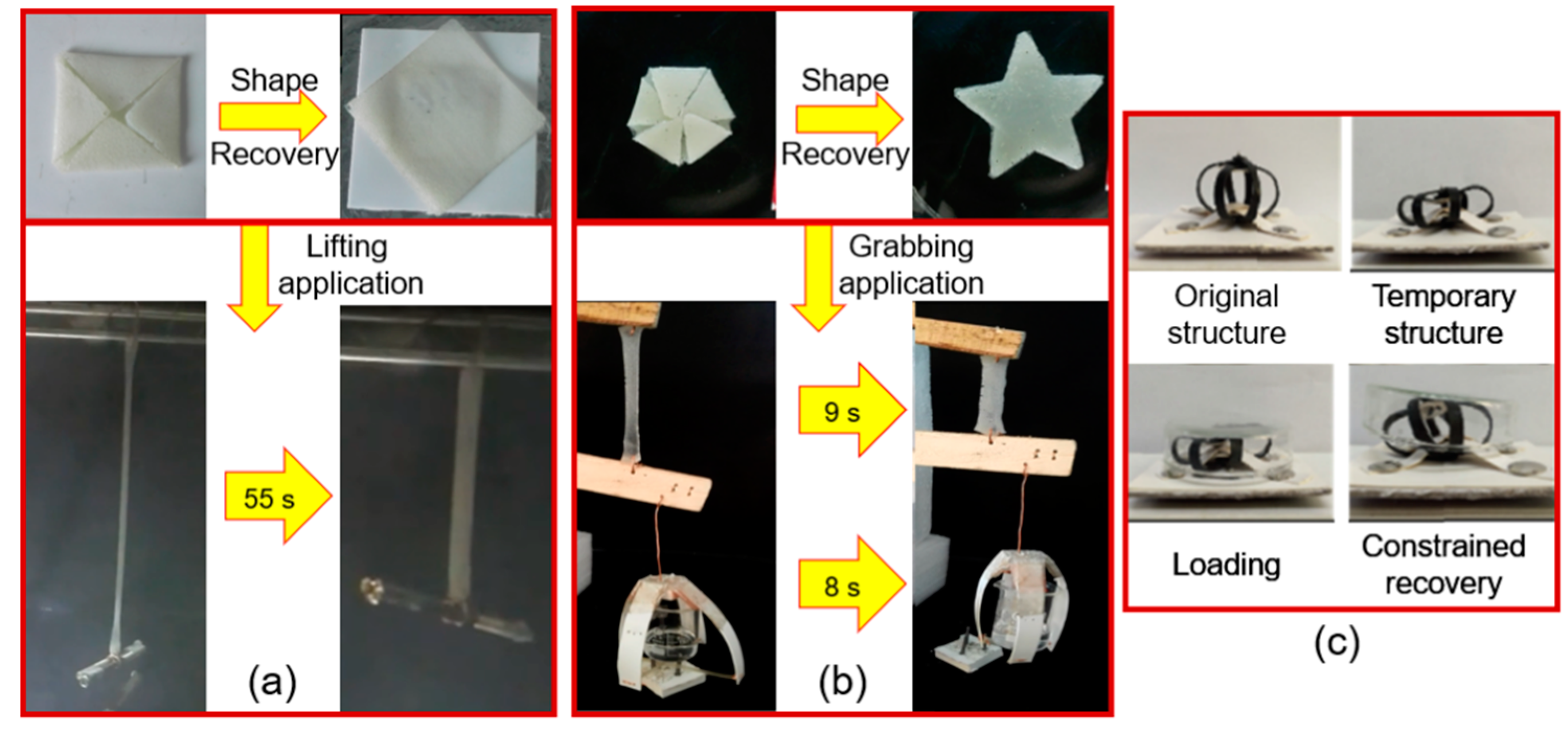 Molecules 25 04246 g005