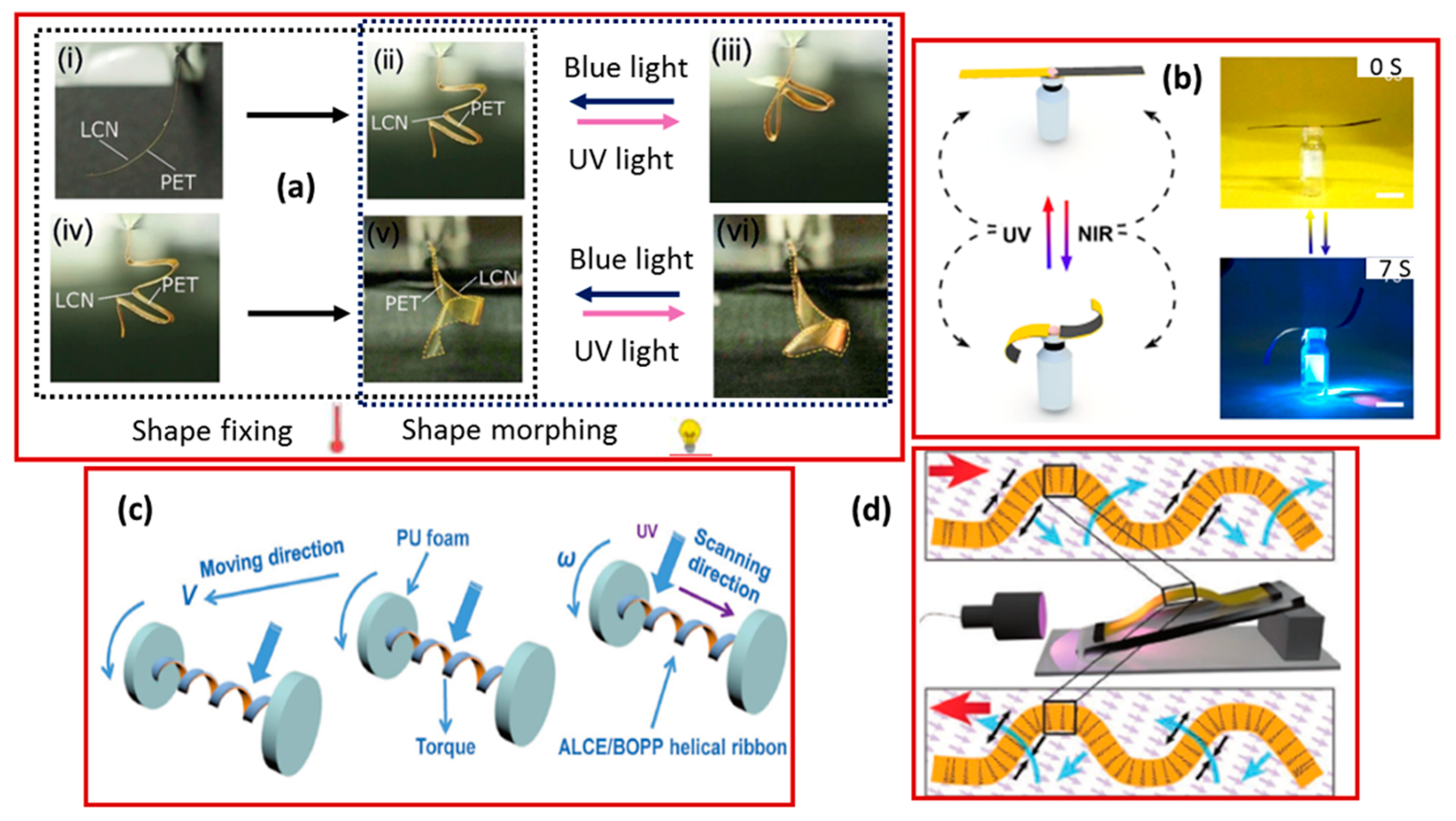 Molecules 25 04246 g007