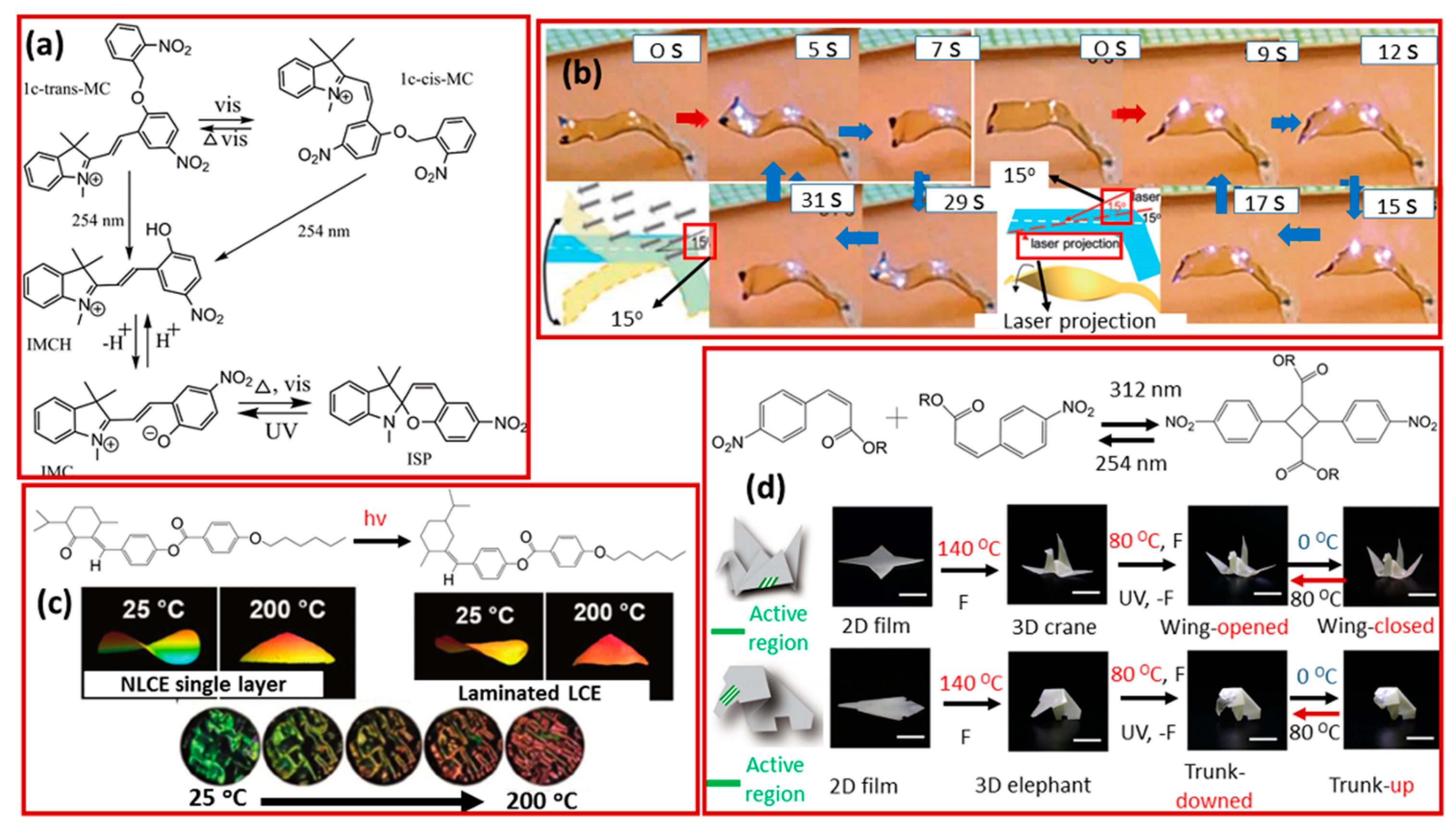 Molecules 25 04246 g008
