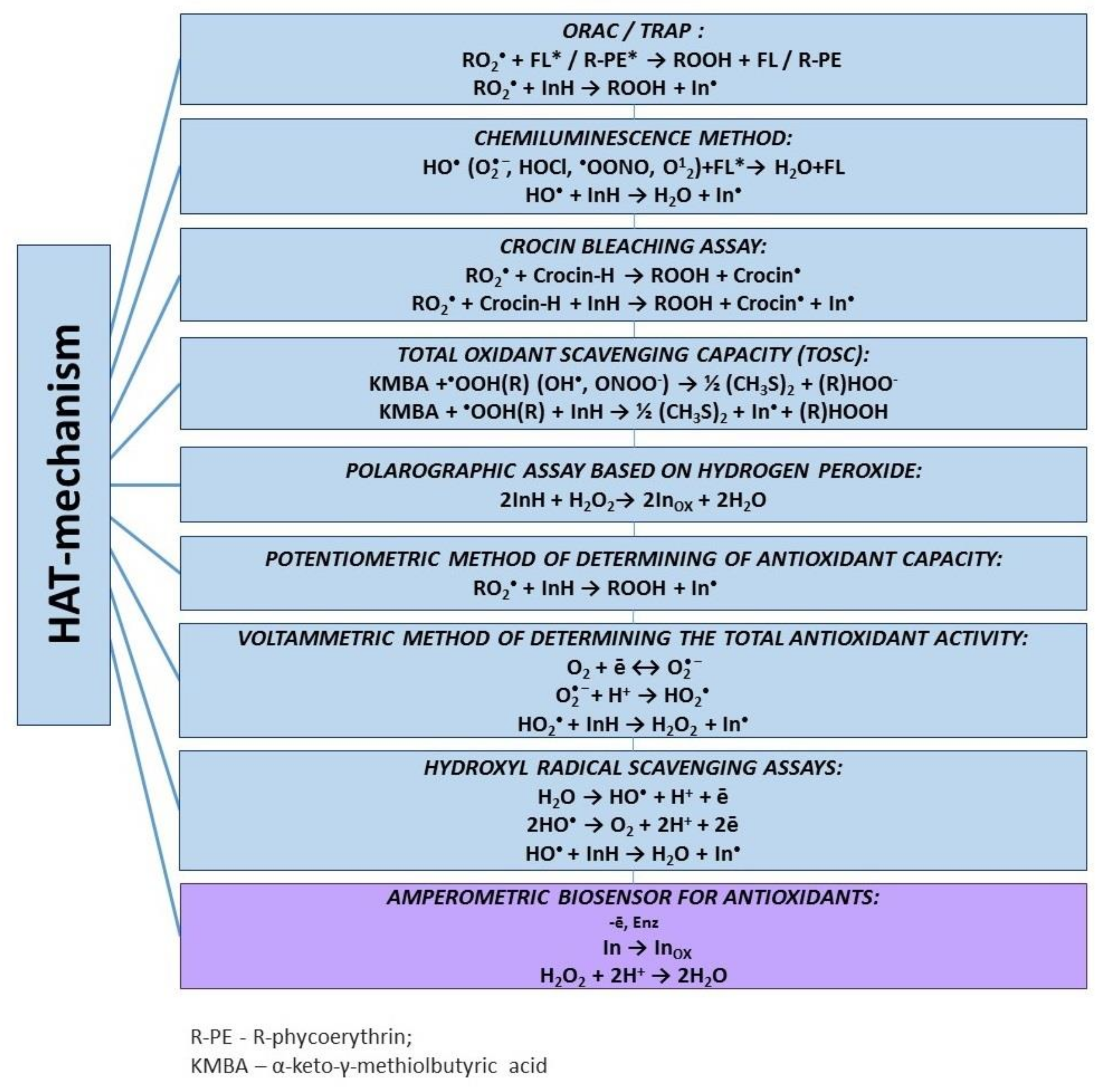 Molecules 25 04251 g004